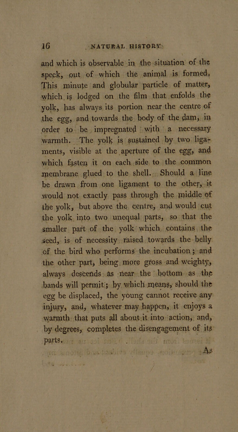 and which is observable in the situation of the speck, out of which the animal is. formed, This minute and globular particle of matter, which is. lodged on the film that enfolds the yolk, has always its portion near the centre of the egg, and towards the body of the dam, in order to. be impregnated ‘with a mecessary warmth. The yolk is sustained by two liga- ments, visible at the aperture of the egg, and which fasten it on each side to the common membrane glued to the shell... Should a line in drawn from one ligament to the other, it would not exactly pass through the middle of the yolk, but above the centre, and would cut the yolk, into two unequal parts, so that the smaller part of the yolk’ which, contains, the seed, is of necessity, raised towards the belly of the bird who performs the incubation ; and the other part, being, more gross and weighty, always descends, as near the bottom as the hands will permit’; by. which means, should the egg be displaced, the young cannot receive any injury, and, whatever may happen, it enjoys a warmth. that puts all about.it into’ action, and, _ by degrees, completes the disengagement of its parts... ; yee Fi i | AS