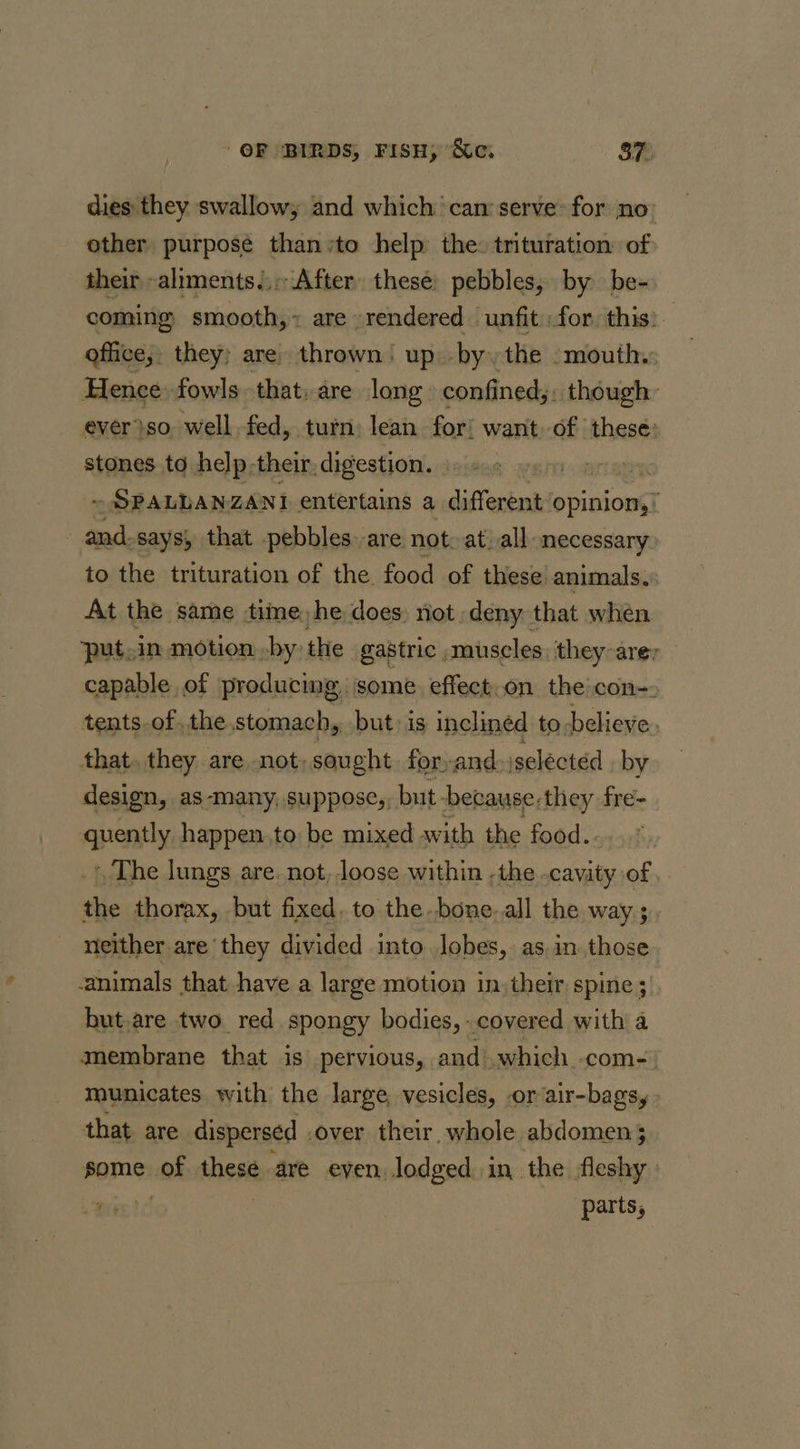 dies they swallow, and which ‘can serve: for no other purpose than to help the: trituration of their aliments... After» thesé: pebbles, by be- coming smooth,» are rendered unfit for. this: office, they) are) thrown) up. by, the -mouth.: Hence fowls that: are long confined; though: ever}so well fed, turn: lean for! want.of these: stones to help,their. digestion. | 3 ~ SPALLANZANI entertains a different opinion,’ and.says, that pebbles. are not. at.all mecessary to the trituration of the food of these animals.: At the same time, he does; not deny that when put,in motion .by the gastric muscles. they-are, capable of producing some. effect.on the:con-» tents.of.the,stomach, but is inclined to believe. that. they are not; sought for,and- selected by design, as-many, suppose,, but- because-they fre- quently happen. to be mixed with the food.. .*, The lungs are. not, loose within -the cavitiiol the thorax, but fixed. to the.bone.all the way; neither are’ they divided into. lobes, as.in those animals that have a large motion in. their spine 3) but.are two red spongy bodies, covered with a membrane that is pervious, and).which -com- municates with the large, vesicles, or air-bagsy that are dispersed . over their, whole abdomen 35 some: of these are even lodged in the fleshy: parts,