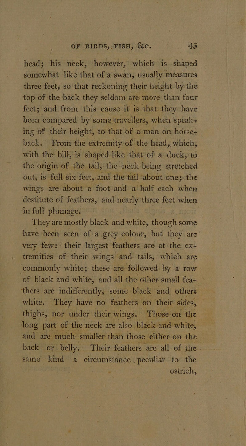 a head; his neck, however, which is . shaped somewhat like that of a swan, usually measures three feet, so that reckoning their height by the top of the back they seldom are more than four feet; and from this cause it is that they ‘have been compared by some travellers, when speaks ing of their height, to that of a man om horse- back. From the extremity of the head, which, with the: bill, is shaped like that of a duck, to the origin of the tail, ‘the neck being stretched out, is full six feet, and the tail about one; the wings are about a foot and a half each when destitute of feathers, and nearly three feet when, in full plumage. 3 They are mostly black and white, though some have been seen of a grey colour, but they are very few: their largest feathers are at the ex- tremitics of their wings and tails, which are commonly white; these are followed by a row of black and white, and all the other small fea- thers are indifferently, some black and others white. They have no feathers on their sides, thighs, nor under their wings. Those ¢ on the long part of the neck are also black and white, and are much smaller than those either on the back. or. belly. Their feathers are all of the. same kind a circumstance . peculiar to the ostrich,