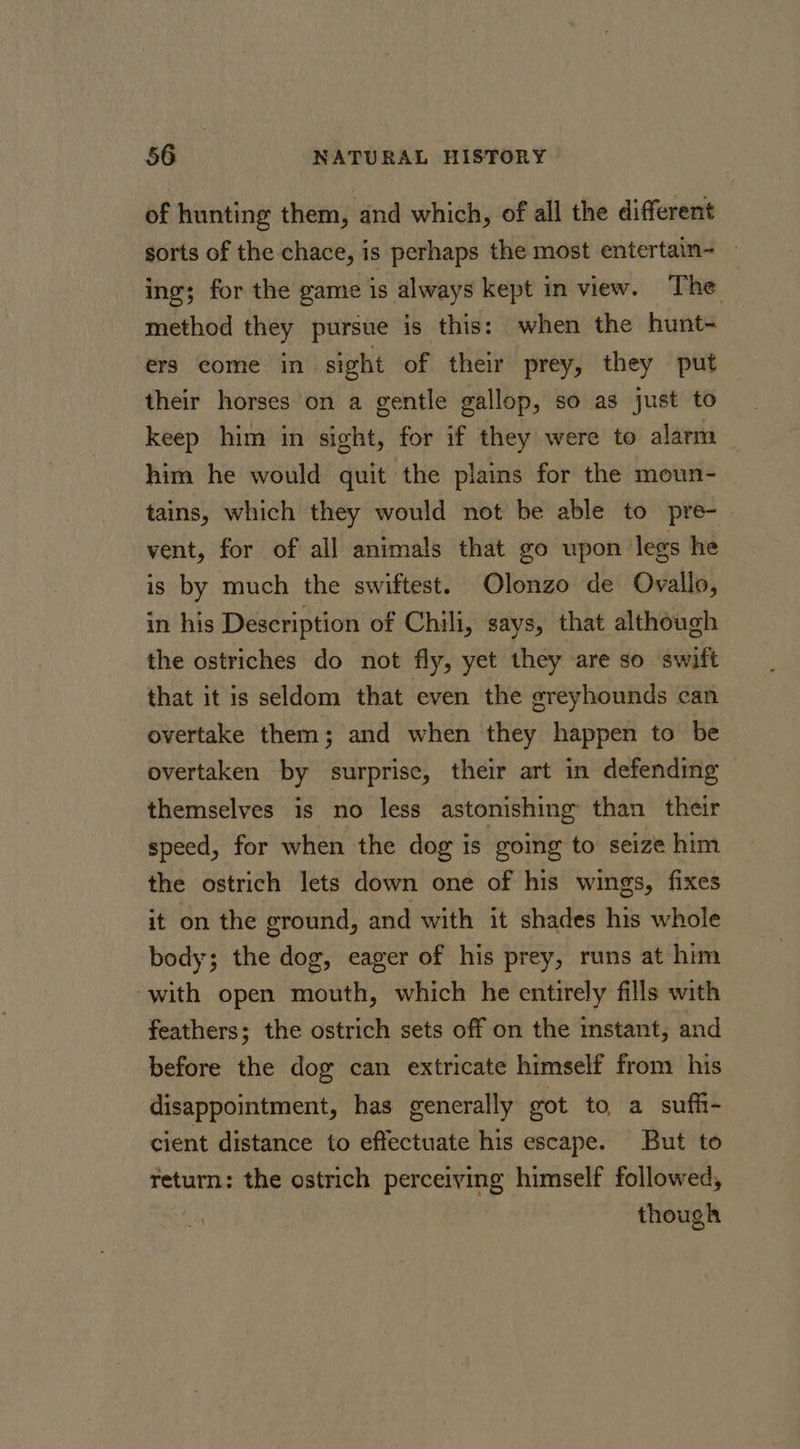 of hunting them, and which, of all the different sorts of the chace, is perhaps the most entertain- — ing; for the game is always kept in view. The method they pursue is this: when the hunt- ers come in sight of their prey, they put their horses on a gentle gallop, so as just to keep him in sight, for if they were te alarm him he would quit the plains for the moun- tains, which they would not be able to pre- vent, for of all animals that go upon legs he is by much the swiftest. Olonzo de Ovallo, in his Description of Chili, says, that although the ostriches do not fly, yet they are so swift that it is seldom that even the greyhounds can overtake them; and when they happen to be overtaken by surprise, their art in defending themselves is no less astonishing than their speed, for when the dog is going to seize him the ostrich lets down one of his wings, fixes it on the ground, and with it shades his whole body; the dog, eager of his prey, runs at him ‘with open mouth, which he entirely fills with feathers; the ostrich sets off on the mstant, and before the dog can extricate himself from his disappointment, has generally got to a suffi- cient distance to effectuate his escape. But to return: the ostrich perceiving himself followed, though