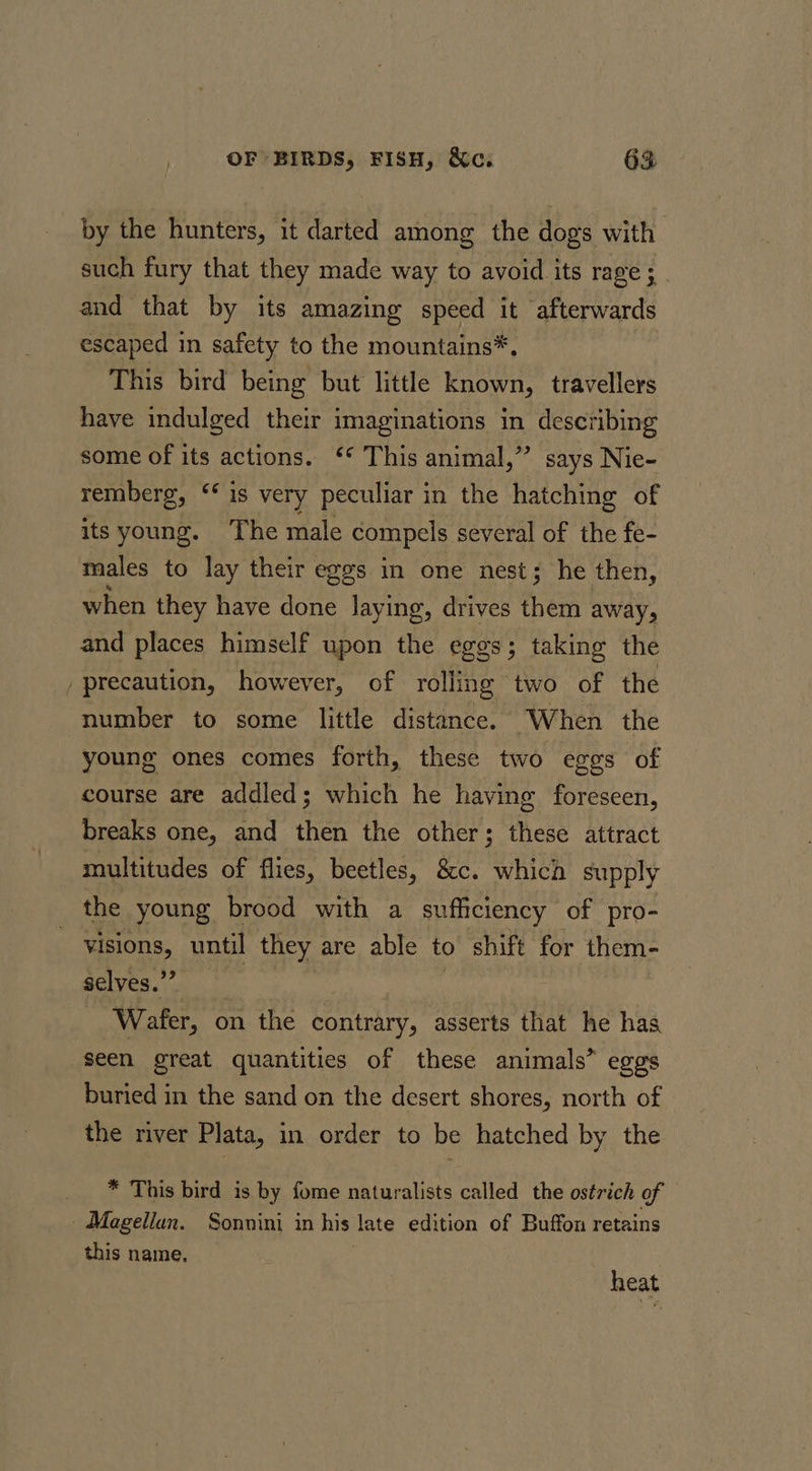 by the hunters, it darted among the dogs with such fury that they made way to avoid its rage ; and that by its amazing speed it afterwards escaped in safety to the mountains*. This bird being but little known, travellers have indulged their imaginations in describing some of its actions. ‘* This animal,” says Nie- remberg, “‘ is very peculiar in the hatching of its young. The male compels several of the fe- males to lay their eggs in one nest; he then, when they have done laying, drives them away, and places himself upon the eggs; taking the / precaution, however, of rolling two of the number to some little distance. When the young ones comes forth, these two eggs of course are addled ; which he having foreseen, breaks one, and then the other; these attract multitudes of flies, beetles, &amp;c. which supply the young brood with a sufficiency of pro- visions, until they are able to shift for them- selves.” | Wafer, on the contrary, asserts that he has seen great quantities of these animals” eggs buried in the sand on the desert shores, north of the river Plata, in order to be hatched by the * This bird is by fome naturalists called the ostrich of Magellan. Sonnini in his late edition of Buffon retains this name. heat