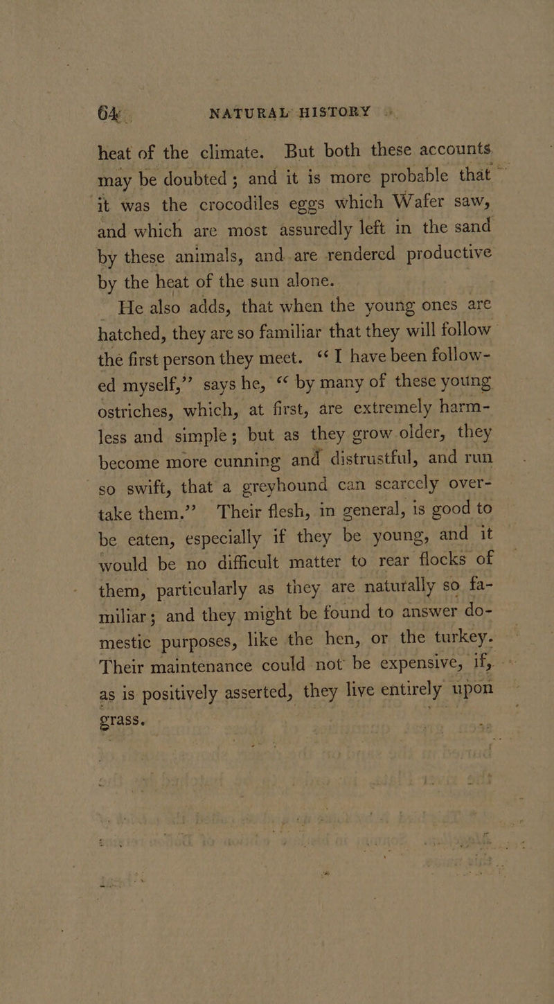 heat of the climate. But both these accounts. may be doubted; and it is more probable that — it was the crocodiles eggs which Wafer saw, and which are most assuredly left in the sand by these animals, and.are rendered productive by the heat of the sun alone. : He also adds, that when the young ones are hatched, they are so familiar that they will follow the first person they meet. “I have been follow- ed myself,” says he, ‘ by many of these young ostriches, which, at first, are extremely harm- less and simple ; ; but as they grow older, they become more cunning and distrustful, and run so swift, that a greyhound can scarcely over- take them.”? Their flesh, in general, is good to be eaten, especially if they be young, and it would be no difficult matter to rear flocks of them, particularly as they are naturally so. fa- miliar; and they might be found to answer do- mestic purposes, like the hen, or the turkey. Their maintenance could not be expensive, 1f,. as is positively asserted, they live entirely upon erass. | the