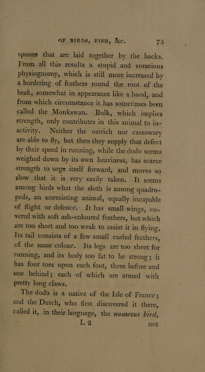 spoons that are laid together by the backs. From all this results a stupid and voracious physiognomy, which is still more increased by a bordering of feathers round the root of the beak, somewhat in appearance like a hood, and from which circumstance it has sometimes been called the Monkswan. Bulk, which implies strength, only contributes in this animal to in- activity. Neither the ostrich nor cassowary are able to fly, but then they supply that defect by their speed in running, while the dodo seems weighed down by its own heaviness, has scarce strength to urge itself forward, and moves so slow that it is very easily taken, It seems. among birds what the sloth is among quadru- _ peds, an unresisting animal, equally incapable of flight or defence. It has small wings, co- _ vered with soft ash-coloured feathers, but which are too short and too weak to assist it in flying, Its tail consists of a few small curled feathers, of the same colour. Its legs are too short for ‘running, and its body too fat to be strong ; it has four toes upon each foot, three before and one behind; each of which are armed with pretty long claws, The dodo is a native of the Isle of France ; and the Dutch, who first discovered it there, called it, in their language, the nauseous bird, | | Lg not