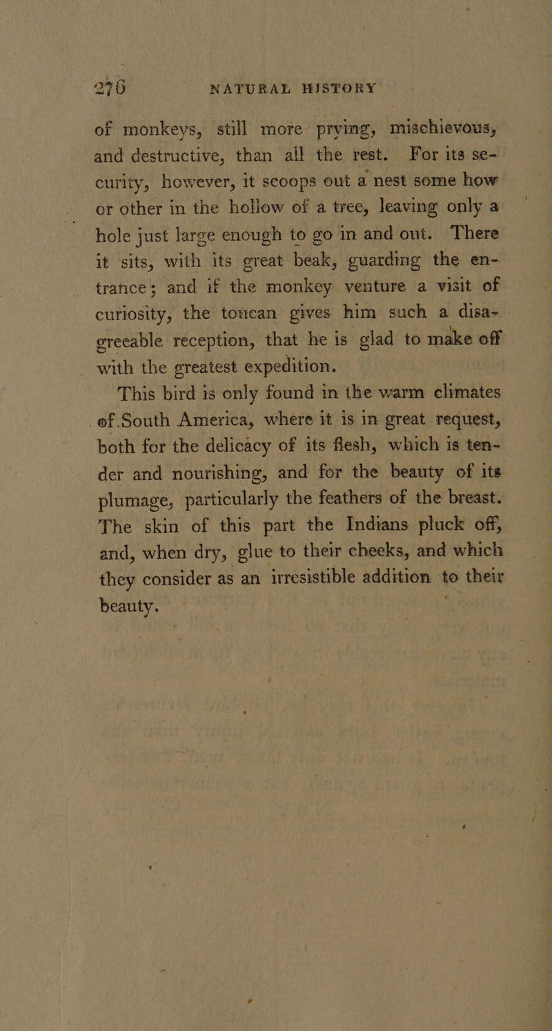 of monkeys, still more prying, mischievous, and destructive, than all the rest. For its se- curity, however, it scoops out a nest some how | or other in the hollow of a tree, leaving only a hole just large enough to go in and out. There it sits, with its great beak, guarding the en- trance; and if the monkey venture a visit of curiosity, the toucan gives him such a disa- ereeable reception, that he is glad to make off with the greatest expedition. This bird is only found in the warm climates ef. South America, where it is in great request, both for the delicacy of its flesh, which is ten- der and nourishing, and for the beauty of its plumage, particularly the feathers of the breast. ‘The skin of this part the Indians pluck off, and, when dry, glue to their cheeks, and which they consider as an irresistible addition to their Beauty. «