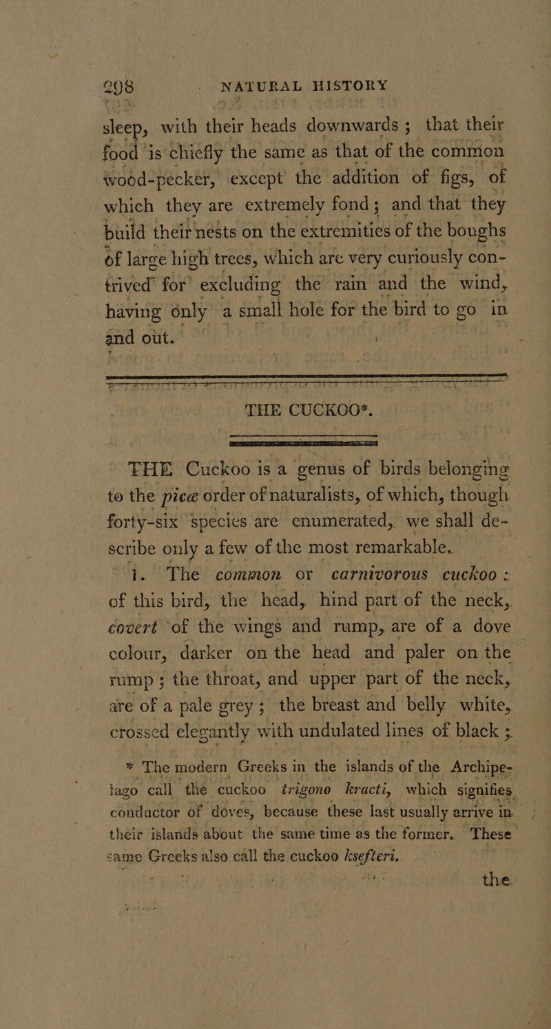 ee bo ale tan HISTORY sleep, with their heads downwards ; that their food ‘is chiefly the same as that of the common ivood-pecker, except the addition of figs, of which they are extremely fond; and that they build their nests on the extremities of the boughs of large high trees, W hich are y, curiously con- trived’ for” excluding the rain and the wind, having only a small hole for the bird to go in and out * | ! | THE Cuckoo 1 is a genus of birds belonging to the pica order of naturalists, of which, though. _ forty-six ‘species are enumerated, we shall de- scribe only a few of the most remarkable. i. The common or carnivorous cuckoo : of this bird, the head, hind part of the neck,. covert of the wings and rump, are of a dove colour, darker on the head and paler on the rump ; the throat, and upper part of the neck, are of a pale grey; the breast and belly white, crossed elegantly with undulated lines of black ; «The modern Grecks i in the islands of the Archipe- lago call the cuckoo trigono kracti, which signifies. condactor of doves, because these last usually arrive in- their islands about the same time as the former. These same Greeks also call the cuckoo ksefteri,. | the.