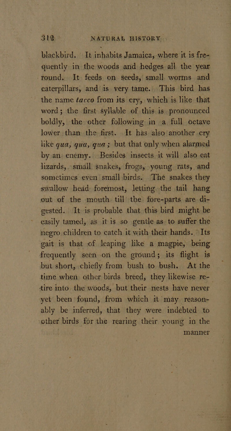 blackbird. It inhabits Jamaica, where it is fre- quently in the woods and hedges all the year -round. It feeds on seeds, small. worms and caterpillars, and is very tame. This bird has the name ¢acco from its cry, which is like that word; the first syllable of this is. pronounced boldly, the other following in a full octave lower than the first. It has also another cry like gua, qua, qua; but that only when alarmed by an enemy. Besides insects it will also eat lizards, small snakes, frogs, young rats, and sometimes even small birds. ‘The snakes they swallow head foremost, letting. the tail hang out of the mouth till the fore-parts are di- gested. It is-probable that this bird might be easily tamed, as it is so gentle as. to suffer the negro children to catch it with their hands. ° Its gait is that of leaping like a magpie, being frequently seen on the ground; its flight is but short, chiefly from bush to bush. At the time when other birds breed, they likewise re- tire into. the woods, but their nests have never yet been found, from which it may reason- ably be inferred, that they were indebted to ‘ether birds for the rearing their young in the . manner