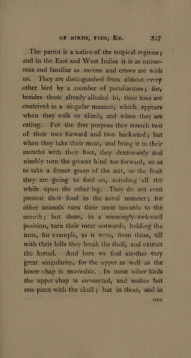 The parrot is a native of the tropical regions; and in the East and West Indies it is: as nume+ rous and familiar as ravens and crows are with _ us. They are distinguished from aimost every other bird by a number of peculiarities; for, besides those already alluded to, their toes are contrivéd in a singular manner, which appears when they walk or elimb, and when they are eating. For the first purpose they stretch two of their toes forward and two backward; but when they take their meat, and bring it to their mouths with their foot, they dexterously and nimbly turn the greater hind toe forward, so as to take a firmer grasp of the nut, or the fruit they are going to feed on, standing all the while upon the other lez. They do mot even present their food in the usval manner; for other animals turn their meat mwards to the mouth; but these, in a seeminely-awkward position, turn their meat outwards, holding the nuts, for example, as it were, from them, ‘till with their bills they break the shell, and extract the kernel. And here we find atother very preat singularity, for the upper.as well as the lower ‘chap 1s moveable. . In most other birds the wupper'chap is connected, and makes ‘bit one piece with the skull; but im these, and in one