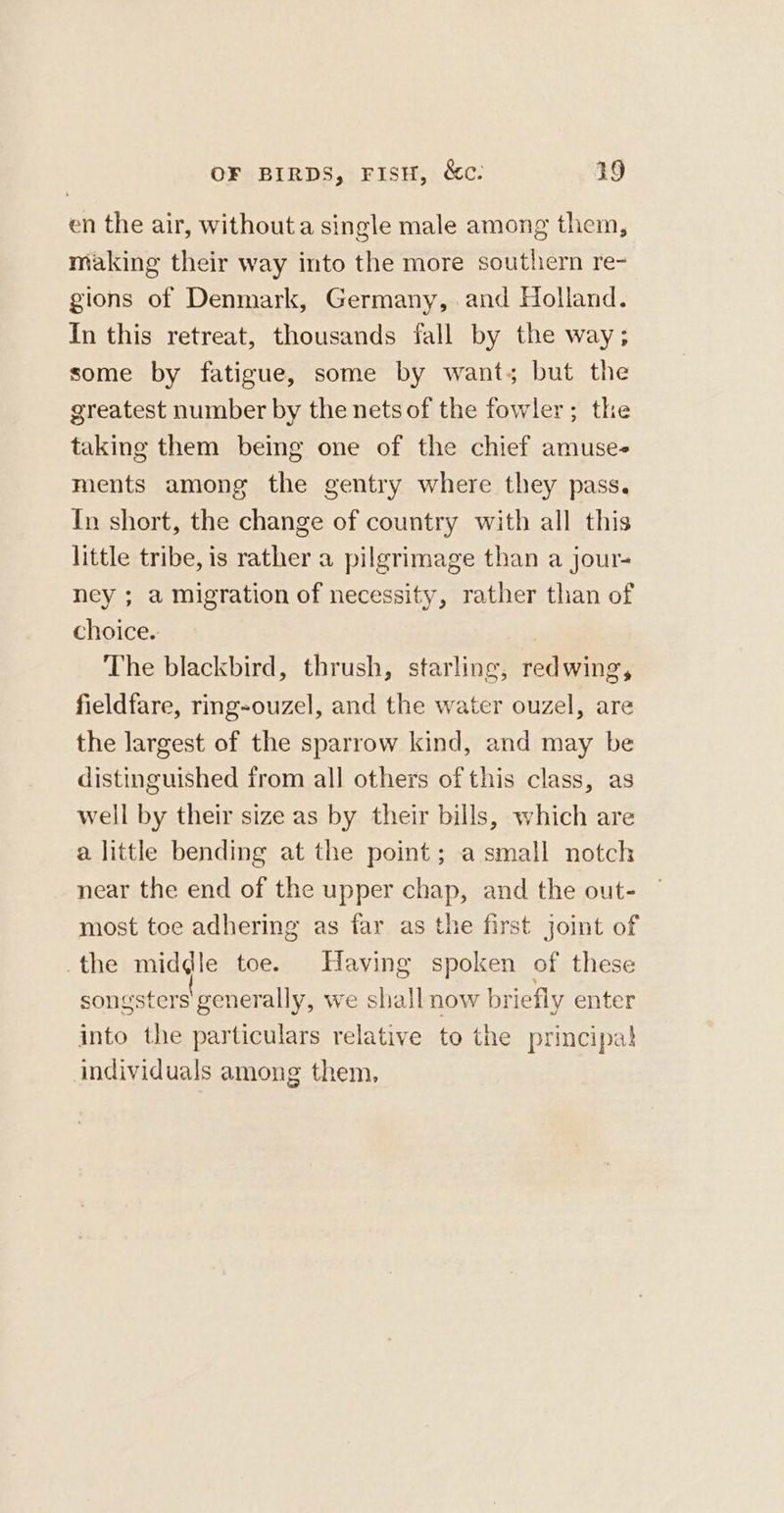 en the air, withouta single male among them, making their way into the more southern re- gions of Denmark, Germany, and Holland. In this retreat, thousands fall by the way; some by fatigue, some by want; but the greatest number by the nets of the fowler; the taking them being one of the chief amuse- ments among the gentry where they pass. In short, the change of country with all this little tribe, is rather a pilgrimage than a jour- ney ; a migration of necessity, rather than of choice. The blackbird, thrush, starling, redwing, fieldfare, rmg-ouzel, and the water ouzel, are the largest of the sparrow kind, and may be distinguished from all others of this class, as well by their size as by their bills, which are a little bending at the point; a small notch near the end of the upper chap, and the out- most toe adhering as far as the first joint of the middle toe. Having spoken of these songsters generally, we shall now briefly enter into the particulars relative to the principa} individuals among them,