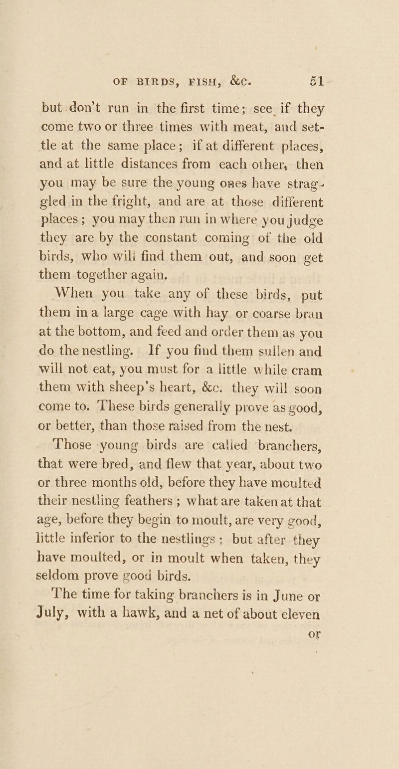 but don’t run in the first time; see if they come two or three times with meat, and set- tle at the same place; if at different places, and at little distances from each other, then you may be sure the young ones have strag- gled in the fright, and are at those different places; you may then run in where you judge they are by the constant coming of the old birds, who wili find them out, and soon get them together again. When you take any of these birds, put them ina large cage with hay or coarse bran at the bottom, and feed and order them as you do the nestling. If you find them sullen and will not eat, you must for a little while cram them with sheep’s heart, &amp;c. they will soon come to. ‘These birds generally prove as good, or better, than those raised from the nest. Those -young birds are calied branchers, that were bred, and flew that year, about two or three months old, before they have moulted their nestling feathers ; what are taken at that age, before they begin to moult, are very good, little inferior to the nestlings; but after they have moulted, or in moult when taken, they seldom prove good birds. The time for taking branchers is in June or July, with a hawk, and a net of about eleven