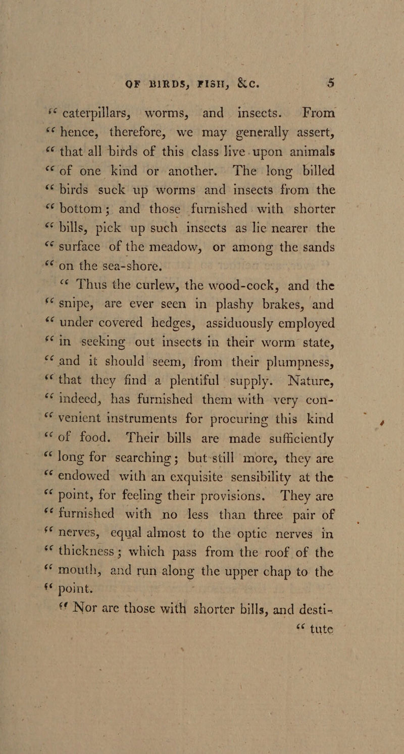 ** caterpillars, worms, and insects. From *‘ hence, therefore, we may generally assert, *€ that all birds of this class live.upon animals *‘ of one kind or another. The long billed ‘‘ birds suck up worms and insects from the “‘ bottom; and those furnished. with shorter «bills, pick up such insects as lie nearer the ** surface of the meadow, or among the sands *“’on the sea-shore. “¢ Thus the curlew, the wood-cock, and the ** snipe, are ever seen in plashy brakes, and ** under covered hedges, assiduously employed **in seeking out insects in their worm state, “and it should seem, from their plumpness, *“that they find a plentiful supply. Nature, ** indeed, has furnished them with very con- ** venient instruments for procuring this kind “of food. Their bills are made sufficiently ‘long for searching; but-still more, they are ** endowed with an exquisite sensibility at the ** point, for feeling their provisions. They are ‘furnished with no less than three pair of ** nerves, equal almost to the optic nerves in * thickness ; which pass from the roof of the ** mouth, and run along the upper chap to the €€ point. 7 *€ Nor are those with shorter bills, and desti- ! “ tute