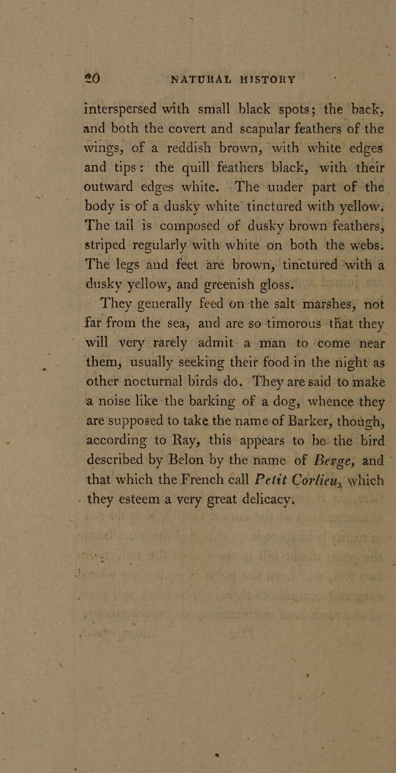 interspersed with small black spots; the back, and both the covert and scapular feathers of the wings, of a reddish brown, with white edges and tips: the quill feathers black, with their outward edges white. The under part of the. body is-of a dusky white tinctured with yellow. The tail is composed of dusky brown feathers, striped regularly with white on both the webs. The legs and feet are brown, tinctured with a — dusky yellow, and greenish gloss. They generally feed onthe salt marshes, not far from the sea, and are so timorous that they ~- will very rarely admit a man to come near them, usually seeking their food in the night as other nocturnal birds do. They are said to make ‘a noise like the barking of a dog, whence they are supposed to take the name of Barker, though, according to Ray, this appears to he’ the bird described by Belon by the name of Berge, and - that which the French call Petit Corlieu, eich . they esteem a very great delicacy.