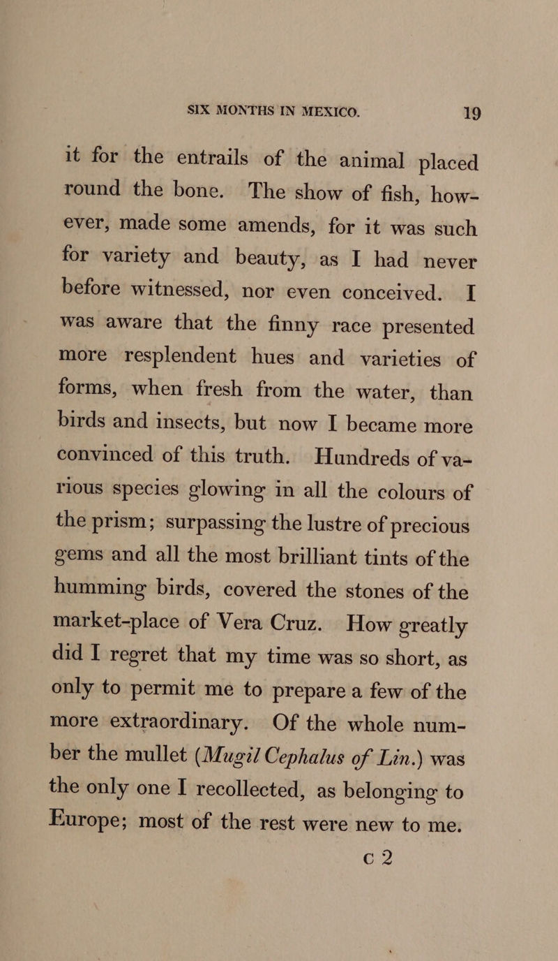 it for the entrails of the animal placed round the bone. The show of fish, how- ever, made some amends, for it was such for variety and beauty, as I had never before witnessed, nor even conceived. I was aware that the finny race presented more resplendent hues and varieties of forms, when fresh from the water, than birds and insects, but now I became more convinced of this truth. Hundreds of va- rious species glowing in all the colours of the prism; surpassing the lustre of precious gems and all the most brilliant tints of the humming birds, covered the stones of the market-place of Vera Cruz. How greatly did I regret that my time was so short, as only to permit me to prepare a few of the more extraordinary. Of the whole num- ber the mullet (Mugél Cephalus of Lin.) was the only one I recollected, as belonging to Europe; most of the rest were new to me. C2