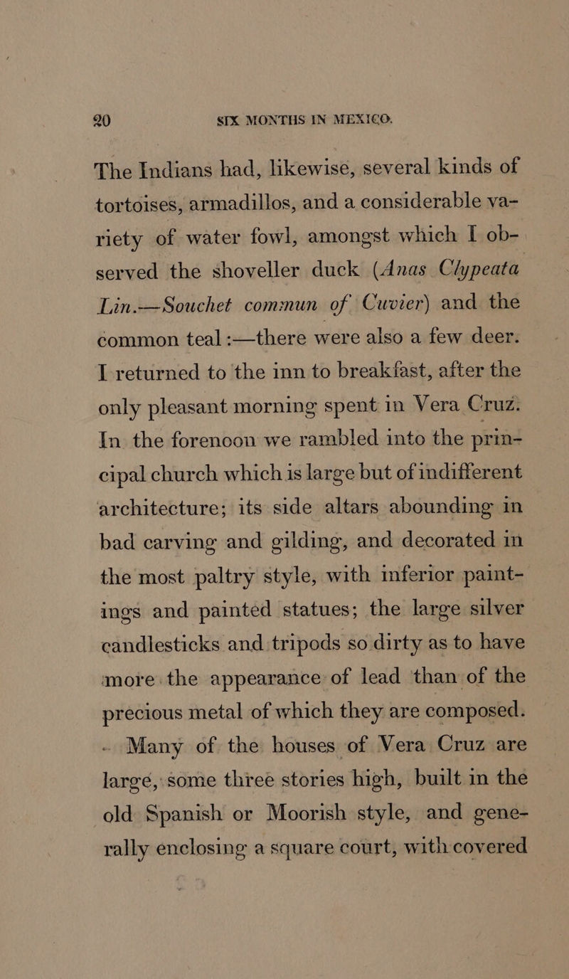 The Indians had, likewise, several kinds of tortoises, armadillos, and a considerable va- riety of water fowl, amongst which I ob- served the shoveller duck (Anas. Clypeata Lin.—Souchet commun of Cuvier) and the common teal :—there were also a few deer. L returned to the inn to breakfast, after the only pleasant morning spent in Vera Cruz. In the forenoon we rambled into the prin- cipal church which is large but of indifferent architecture; its side altars abounding in bad carving and gilding, and decorated im the most paltry style, with inferior paint- ings and painted statues; the large silver candlesticks and tripods so dirty as to have more the appearance of lead than of the precious metal of which they are composed. - Many of the houses of Vera Cruz are large, some three stories high, built in the old Spanish or Moorish style, and gene- rally enclosing a square court, with covered
