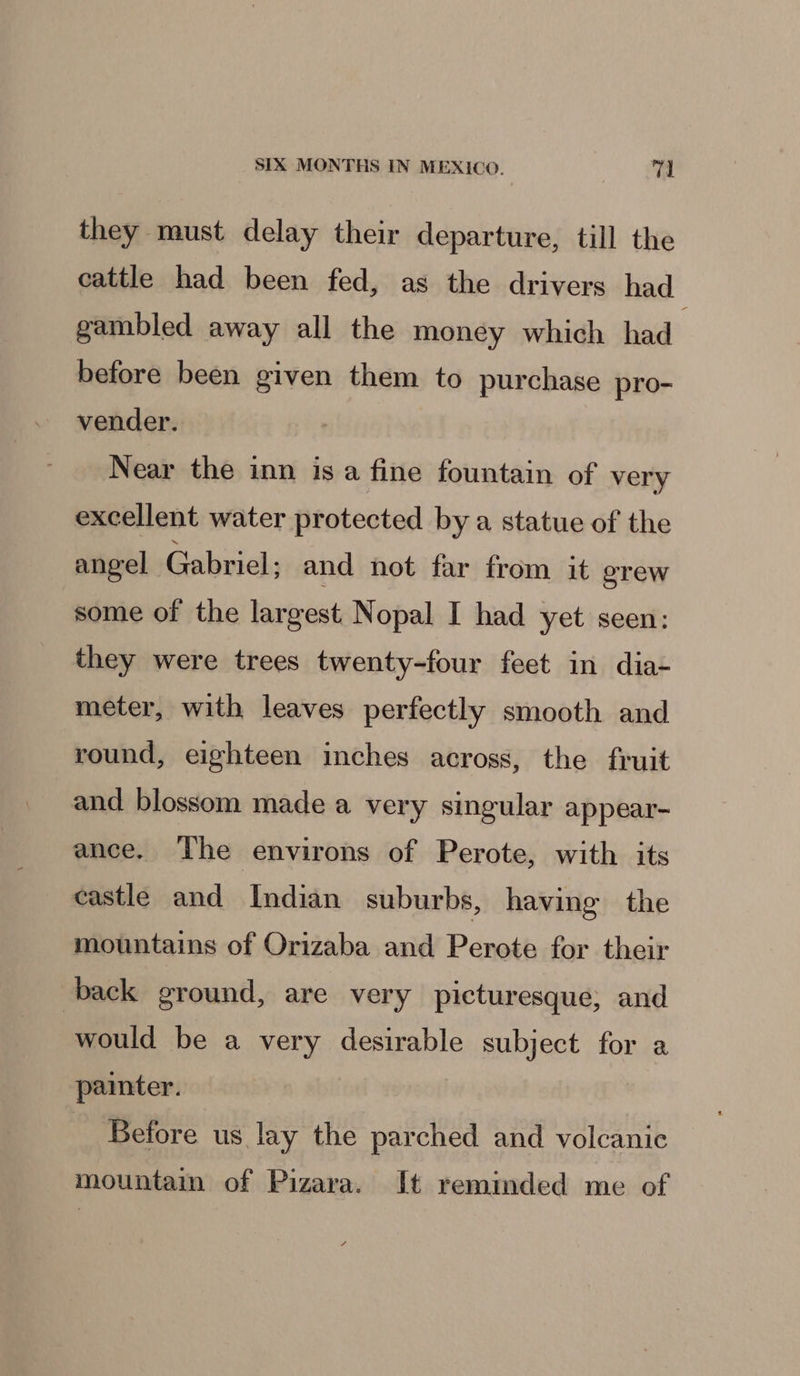 they must delay their departure, till the cattle had been fed, as the drivers had gambled away all the money which had before been given them to purchase pro- vender. Near the inn isa fine fountain of very excellent water protected by a statue of the angel Gabriel: and not far from it grew some of the largest Nopal I had yet seen: they were trees twenty-four feet in dia- meter, with leaves perfectly smooth and round, eighteen inches across, the fruit and blossom made a very singular appear- ance. The environs of Perote, with its castle and Indian suburbs, having the mountains of Orizaba and Perote for their back ground, are very picturesque; and would be a very desirable subject for a painter. Before us lay the parched and volcanic mountain of Pizara. It reminded me of
