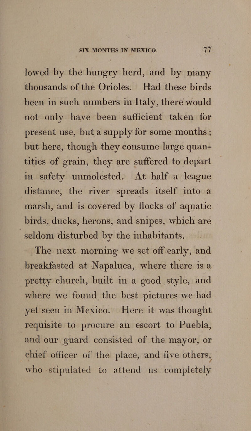 lowed by the hungry herd, and by many thousands of the Orioles. Had these birds been in such numbers in Italy, there would not only have been sufficient taken for present use, but a supply for some months ; but here, though they consume large quan- tities of grain, they are suffered to depart in safety unmolested. At half a league distance, the river spreads itself mto a marsh, and is covered by flocks of aquatic birds, ducks, herons, and snipes, which are seldom disturbed by the inhabitants. The next morning we set off early, and breakfasted at Napaluca, where there is a pretty church, built in a good style, and where we found the best pictures we had yet seen in Mexico. Here it was thought requisite to procure an escort to Puebla, and our guard consisted of the mayor, or chief officer of the place, and five others, who ‘stipulated to attend us completely