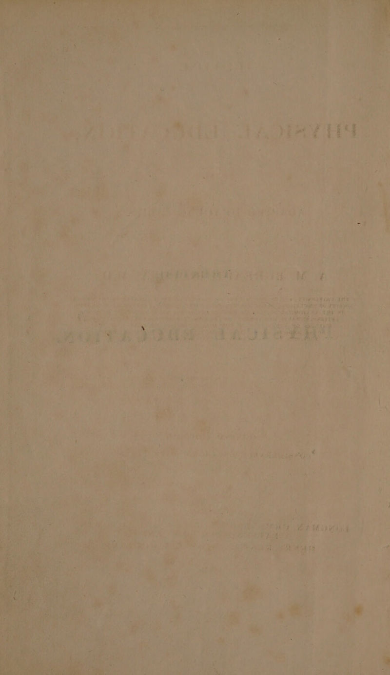 Pee or Pes ae ‘ue a4 ae aac aveetey Pag Od ae SLAP Meteor hdh Ris CN, SEP hat “antiea iRe 5 Be ah, M is Ps ~ “1 ey on | ~ t-, ae WOKS. . . ::