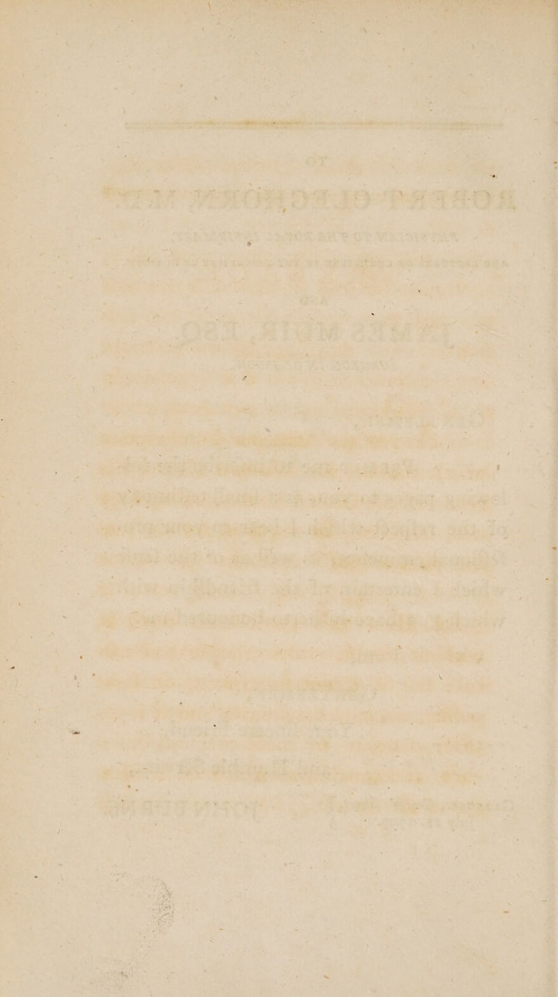 RUS ¥ OR Ri eg: oe FONTS yi serie e be es ae ee 3 mee ait ae Fe a os ; by fe iss - sey er ewes a les iS a paaeeotess ,