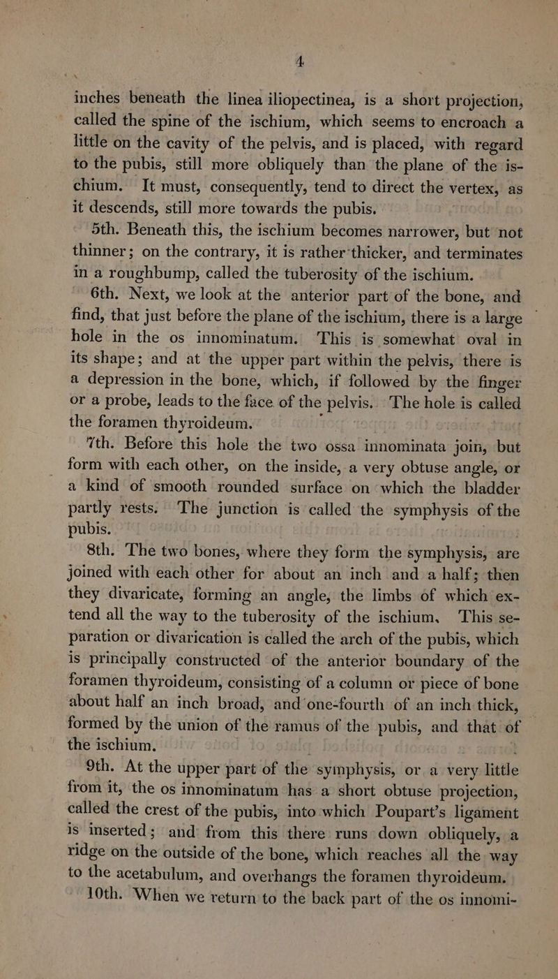 inches beneath the linea iliopectinea, is a short projection, called the spine of the ischium, which seems to encroach a little on the cavity of the pelvis, and is placed, with regard to the pubis, still more obliquely than the plane of the is- chium. It must, consequently, tend to direct the vertex, as it descends, still more towards the pubis. 5th. Beneath this, the ischium becomes narrower, but not thinner; on the contrary, it is rather’thicker, and terminates in a roughbump, called the tuberosity of the ischium. 6th. Next, we look at the anterior part of the bone, and find, that just before the plane of the ischium, there is a large hole in the os innominatum. This is somewhat oval in its shape; and at the upper part within the pelvis, there is a depression in the bone, which, if followed by the finger or a probe, leads to the face of the pelvis. The hole is called the foramen thyroideum. . 7th. Before this hole the two ossa innominata join, but form with each other, on the inside, a very obtuse angle, or a kind of smooth rounded surface on which the bladder partly rests. The junction is called the symphysis of the pubis. ¢ They 8th. The two bones, where they form the symphysis, are joined with each other for about an inch and a half; then they divaricate, forming an angle, the limbs of which ex- tend all the way to the tuberosity of the ischium, This se- paration or divarication is called the arch of the pubis, which is principally constructed of the anterior boundary of the foramen thyroideum, consisting of a column or piece of bone about half an inch broad, and ‘one-fourth of an inch thick, formed by the union of the ramus of the pubis, and that of the ischium. . Hat 9th. At the upper part of the symphysis, or a very little from it, the os innominatum has a short obtuse projection, called the crest of the pubis, into which Poupart’s ligament is inserted; and from this there runs down obliquely, a ridge on the outside of the bone, which reaches all the way to the acetabulum, and overhangs the foramen thyroideum. 10th. When we return to the back part of the os innomi-
