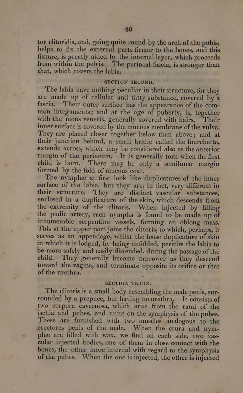 tor clitoridis, and, going quite round by the arch of the pubis; helps to fix the external parts firmer to the bones, and this fixture, is greatly aided by the internal layer, which proceeds from within the pelvis. ‘The perineal fascia, is stronger than that, which covers the labia. SECTION SECOND. The labia have nothing peculiar in their structure, for they are made up of cellular and fatty substance, covered by a fascia. ‘Their outer surface has the appearance of the com- mon integuments; and at the age of puberty, is, together with the mons veneris, generally covered with hairs. ‘Their inner surface is covered by the mucous membrane of the vulva. They are placed closer together below than above; and at their junction behind, a small bridle called the fourchette, extends across, which may be considered also as the anterior margin of the perineum. It is generally torn when the first child is born. There may be only a semilunar margin formed by the fold of mucous coat. The nymphe at first look like duplicatures of the inner surface of the labia, but they are, in fact, very different in their structure. They are distinct vascular substances, enclosed in a duplicature of the skin, which descends from the extremity of the clitoris. When injected by filling the pudic artery, each nympha is found to be made up of innumerable serpentine vessels, forming an oblong mass. This at the upper part joins the clitoris, to which, perhaps, it serves as an appendage, whilst the loose duplicature of skin in which it is lodged, by being unfolded, permits the labia to be more safely and easily! distended, during the passage of the child. They generally become narrower as they descend toward the vagina, and terminate opposite its orifice or that of the urethra. SECTION THIRD. The clitoris is a small body resembling the male penis, sur- rounded by a prepuce, but having nourethra. It consists of two corpora cavernosa, which arise from the rami of the ischia and pubes, and unite on the symphysis of the pubes. These are furnished with two muscles analogous to the erectores penis of the male. When the crura and nym- phe are filled with wax, we find on each side, two vas- cular injected bodies, one of them in close contact with the bones, the other more internal with regard to the symphysis of the pubes. When the one is injected, the other is injected