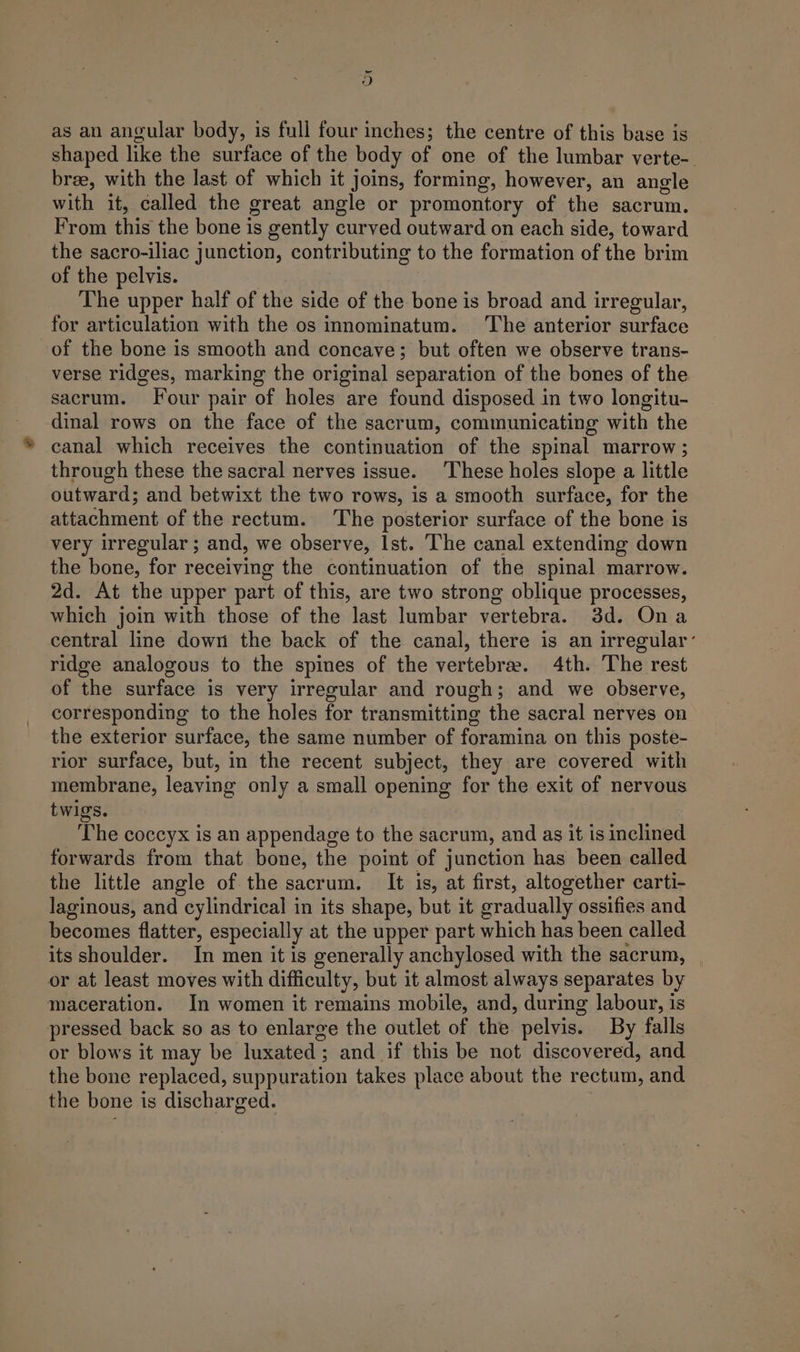 = oO as an angular body, is full four inches; the centre of this base is shaped like the surface of the body of one of the lumbar verte-. brze, with the last of which it joins, forming, however, an angle with it, called the great angle or promontory of the sacrum. From this the bone is gently curved outward on each side, toward the sacro-iliac junction, contributing to the formation of the brim of the pelvis. The upper half of the side of the bone is broad and irregular, for articulation with the os innominatum. The anterior surface of the bone is smooth and concave; but often we observe trans- verse ridges, marking the original separation of the bones of the sacrum. Four pair of holes are found disposed in two longitu- dinal rows on the face of the sacrum, communicating with the canal which receives the continuation of the spinal marrow ; through these the sacral nerves issue. These holes slope a little outward; and betwixt the two rows, is a smooth surface, for the attachment of the rectum. The posterior surface of the bone is very irregular; and, we observe, Ist. The canal extending down the bone, for receiving the continuation of the spinal marrow. 2d. At the upper part of this, are two strong oblique processes, which join with those of the last lumbar vertebra. 3d. Ona central line down the back of the canal, there is an irregular- ridge analogous to the spines of the vertebrae. 4th. The rest of the surface is very irregular and rough; and we observe, corresponding to the holes for transmitting the sacral nerves on the exterior surface, the same number of foramina on this poste- rior surface, but, in the recent subject, they are covered with membrane, leaving only a small opening for the exit of nervous twigs. The coccyx is an appendage to the sacrum, and as it is inclined forwards from that bone, the point of junction has been called the little angle of the sacrum. It is, at first, altogether carti- laginous, and cylindrical in its shape, but it gradually ossifies and becomes flatter, especially at the upper part which has been called its shoulder. In men it is generally anchylosed with the sacrum, | or at least moves with difficulty, but it almost always separates by maceration. In women it remains mobile, and, during labour, is pressed back so as to enlarge the outlet of the pelvis. By falls or blows it may be luxated; and if this be not discovered, and the bone replaced, suppuration takes place about the rectum, and the bone is discharged.