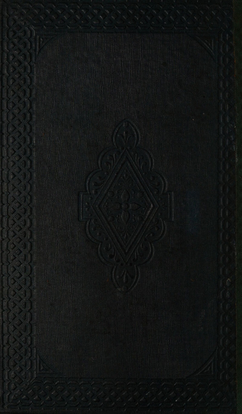 = “ — penrmeseseprerarsne etter arrentll petri rt 1, ier tne at eealataeaeeel reves r peeteinnemannaterresrers? seen 4, “ aod nt re = sin n see ve ee ~ &lt;4 aS ’ 3 nate ye . Caner oeet apr SeSeat arson SEL tomes MER 3 er it 5 ” y &gt; ie oi ie