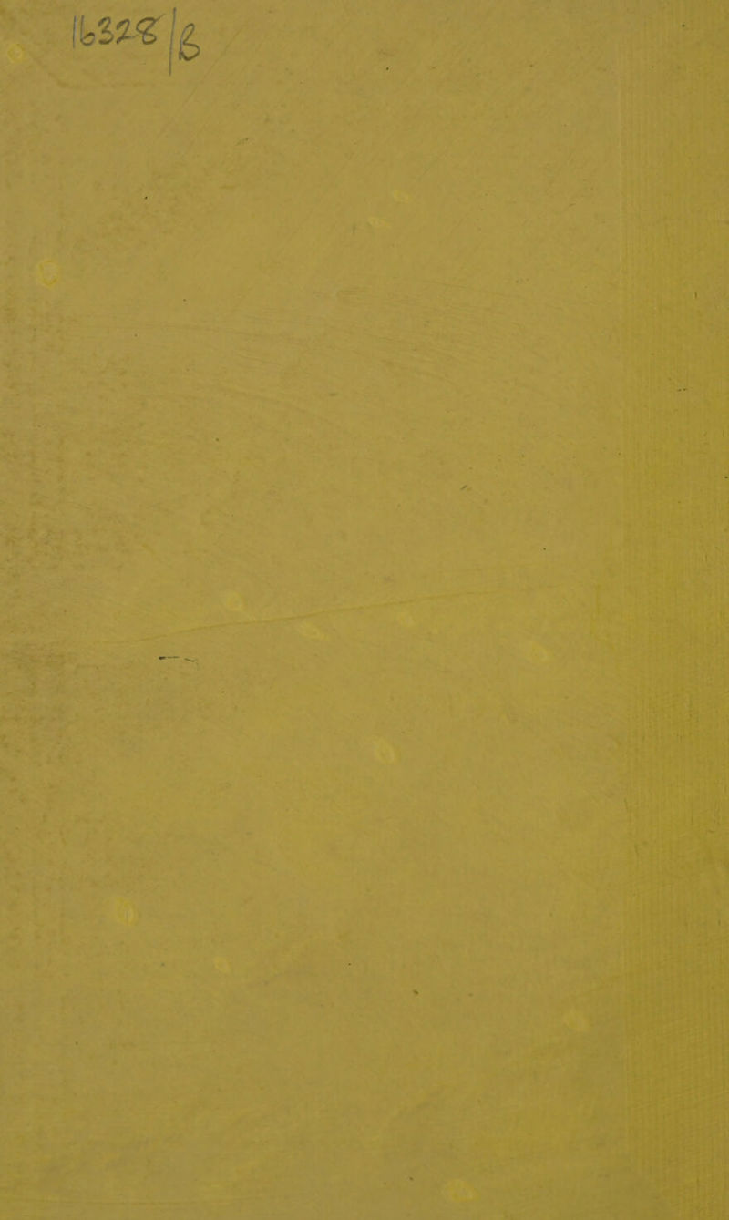 le { ’ “ ; any ,, : - F 4 ,* ® § <F . > . , ¥ * > io ‘ « he f ? ? ‘ a ’ > 3 ai ad 4 ; s Pa 7h ire A 1 Z Se 8 9 > * y j : v Z ee i »- ig a f .: ; . j : - it * ad 4 ; 4 2 at : a . of nA , ma 4 ; ; ¥ . os et i> tu ad tie ad : tine ° . , . ¥ —~ it » ’ 4 . i ‘as 4 e r 4 ’ ent > 4 + ea ey ‘ ‘ aa * - i