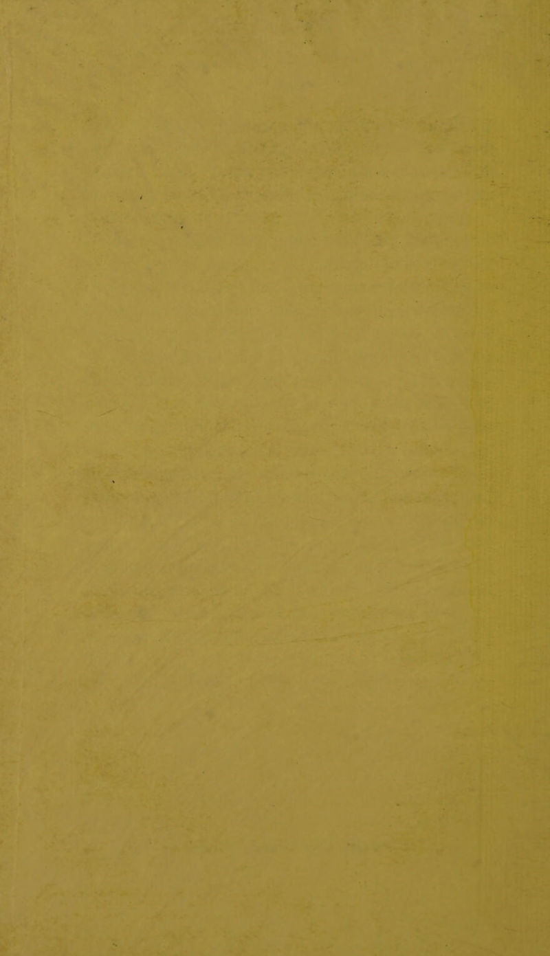 — oy Ae ae ee Rm Se A SS r : ‘ “> hal Bae ©