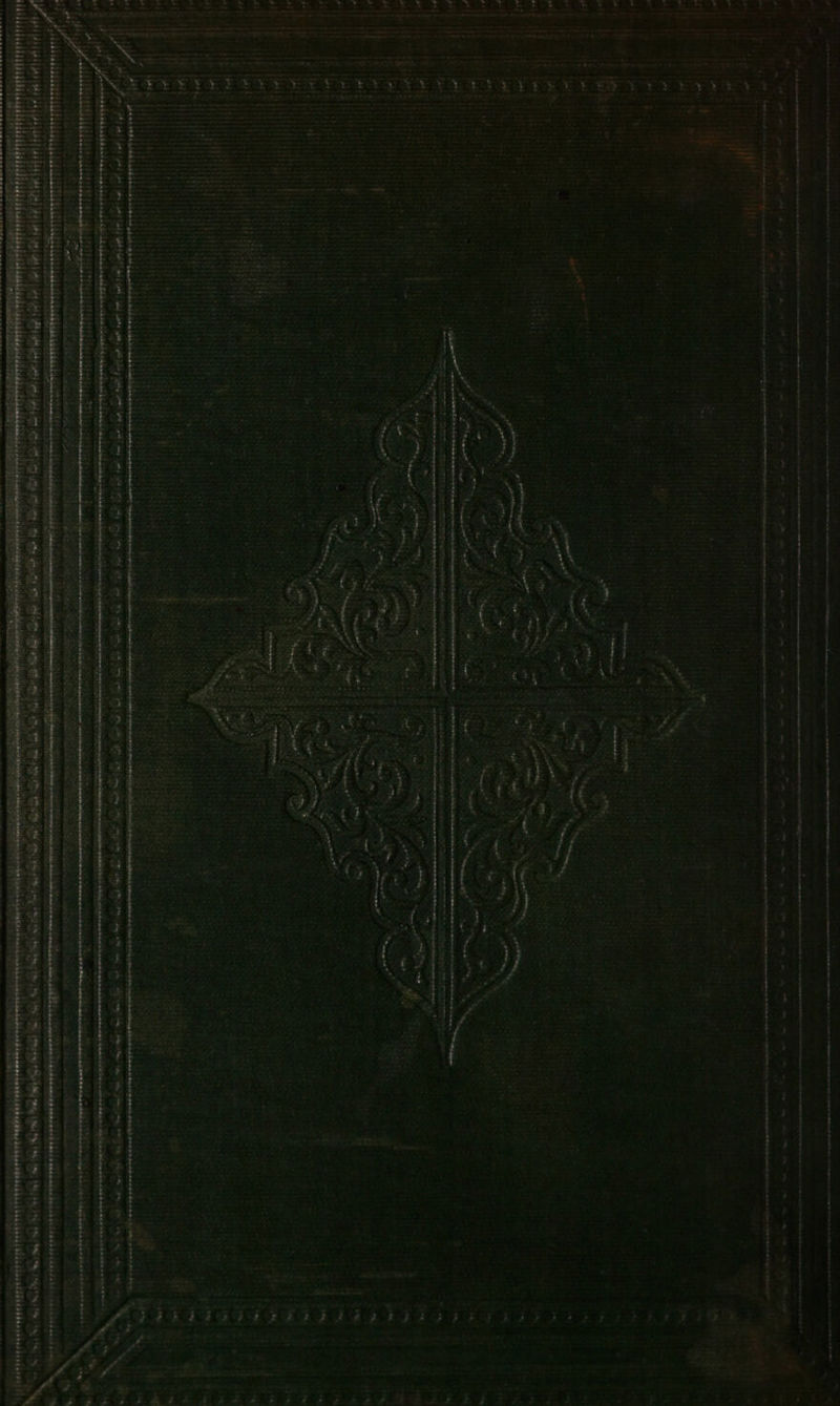 r ae Sees eet noes Hewett inn meee cen tenella tis re Soe en eee Tne bus ee ee es een ee tenement Stee fp A Lo OR ma ES Rt Se I Eee é Se eS ee Se anttnetearesagseewe: - Lye ek a | a lt ae ae Wai ae sin Sis Fc tek Stl ed Gee i i el aed cs es ae ee ee a A lee ew SR Oe ee om ae ee ee re tee me eer Ee tats ies os a Prenat : mu peed eT) oH BP o , is orate ESTIOE BRITS shperere: Dtcxtinmneenonrremsettersiceh ON: , + bs Wyelapetan ey os a :- se = 2 4 a pica teolies Wry ee f ‘i SN eee er ee