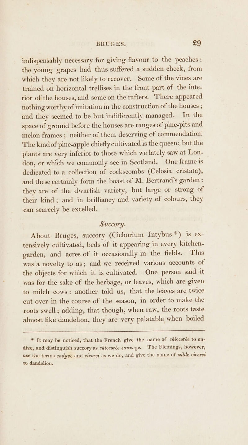 indispensably necessary for giving flavour to the peaches : the young grapes had thus suffered a sudden check, from which they are not likely to recover. Some of the vines are trained on horizontal trellises in the front part of the mte- rior of the houses, and some on the rafters. There appeared nothing worthy of imitation in the construction of the houses ; and they seemed to be but indifferently managed. In the space of ground before the houses are ranges of pme-pits and melon frames ; neither of them deserving of commendation. The kindof pine-apple chiefly cultivated is the queen; but the plants are very inferior to those which we lately saw at Lon- don, or which we commonly see in Seotland. One frame 1s dedicated to a collection of cockscombs (Celosia cristata), and these certainly form the boast of M. Bertrand’s garden : they are of the dwarfish variety, but large or strong of their kind; and in brilliancy and variety of colours, they can scarcely be excelled. Succory. About Bruges, succory (Cichorium Intybus *) is ex- tensively cultivated, beds of it appearing in every kitchen- garden, and acres of it occasionally in the fields. This was a novelty to us; and we received various accounts of the objects for which it is cultivated. One person said it was for the sake of the herbage, or leaves, which are given to milch cows: another told us, that the leaves are twice cut over in the course of the season, in order to make the roots swell; adding, that though, when raw, the roots taste almost like dandelion, they are very palatable when boiled Sepep- sobs hos tases betes de tiveiet sc hestsrbopee eel ie’ chin) }. ot et op ae * It may be noticed, that the French give the name of chiccorée to en- dive, and distinguish succory as chiccorée sauvage. The Flemings, however, use the terms endyve and cicoret as we do, and give the name of wilde cicores to dandelion.