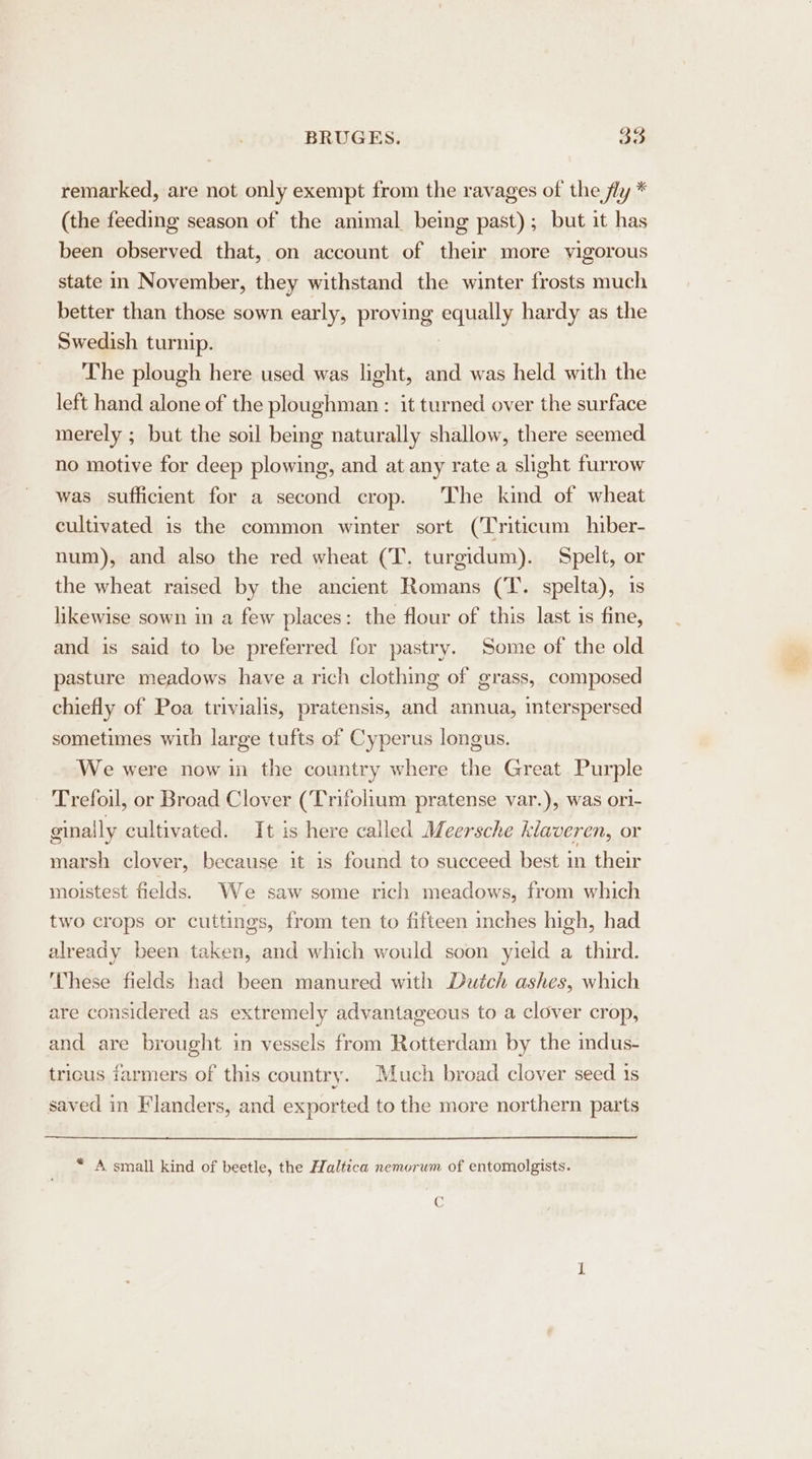 remarked, are not only exempt from the ravages of the fly * (the feeding season of the animal being past); but it has been observed that, on account of their more vigorous state in November, they withstand the winter frosts much better than those sown early, proving equally hardy as the Swedish turnip. The plough here used was light, and was held with the left hand alone of the ploughman : it turned over the surface merely ; but the soil being naturally shallow, there seemed no motive for deep plowing, and at any rate a slight furrow was sufficient for a second crop. The kind of wheat cultivated is the common winter sort (Triticum hiber- num), and also the red wheat (T. turgidum). Spelt, or the wheat raised by the ancient Romans (T. spelta), 1s likewise sown in a few places: the flour of this last is fine, and is said to be preferred for pastry. Some of the old pasture meadows have a rich clothing of grass, composed chiefly of Poa trivialis, pratensis, and annua, interspersed sometimes with large tufts of Cyperus longus. We were now im the country where the Great Purple Trefoil, or Broad Clover (Trifolium pratense var.), was ori- ginally cultivated. It is here called Meersche klaveren, or marsh clover, because it is found to succeed best in their moistest fields. We saw some rich meadows, from which two crops or cuttings, from ten to fifteen inches high, had already been taken, and which would soon yield a third. These fields had been manured with Dutch ashes, which are considered as extremely advantageous to a clover crop, and are brought in vessels from Rotterdam by the indus- tricus farmers of this country. Much broad clover seed 1s saved in Flanders, and exported to the more northern parts “ A small kind of beetle, the Haltica nemorum of entomolgists. CG
