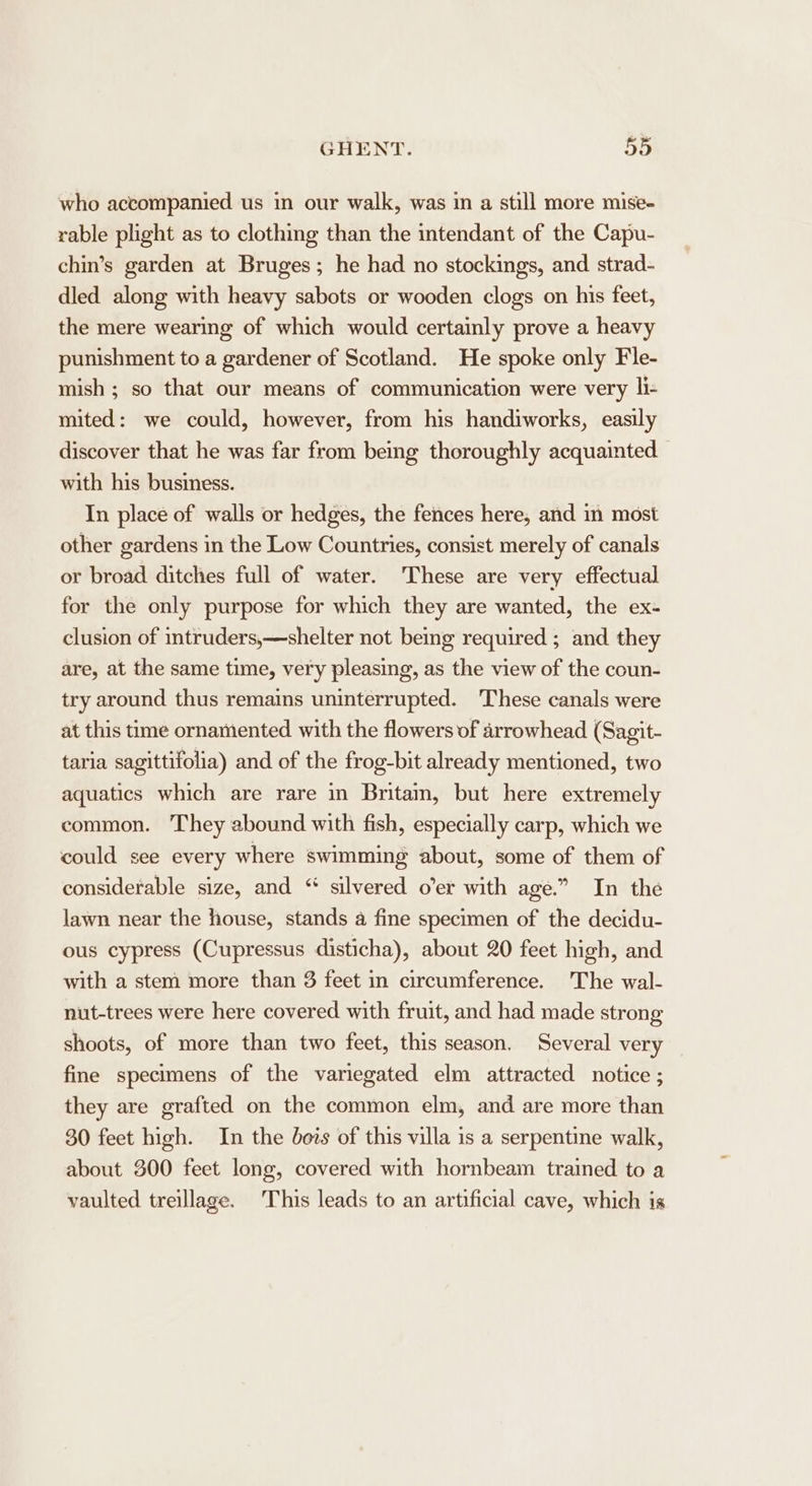 who accompanied us in our walk, was in a still more mise- rable plight as to clothing than the intendant of the Capu- chin’s garden at Bruges; he had no stockings, and strad- dled along with heavy sabots or wooden clogs on his feet, the mere wearing of which would certainly prove a heavy punishment to a gardener of Scotland. He spoke only Fle- mish ; so that our means of communication were very li- mited: we could, however, from his handiworks, easily discover that he was far from being thoroughly acquainted with his business. In place of walls or hedges, the fences here, and in most other gardens in the Low Countries, consist merely of canals or broad ditches full of water. These are very effectual for the only purpose for which they are wanted, the ex- clusion of intruders,—shelter not bemg required ; and they are, at the same time, very pleasing, as the view of the coun- try around thus remains uninterrupted. These canals were at this time ornamented with the flowers of arrowhead (Sagit- taria sagittifolia) and of the frog-bit already mentioned, two aquatics which are rare in Britam, but here extremely common. They abound with fish, especially carp, which we could see every where swimming about, some of them of considerable size, and “ silvered o’er with age.” In the lawn near the house, stands a fine specimen of the decidu- ous cypress (Cupressus disticha), about 20 feet high, and with a stem more than 3 feet in circumference. The wal- nut-trees were here covered with fruit, and had made strong shoots, of more than two feet, this season. Several very fine specimens of the variegated elm attracted notice ; they are grafted on the common elm, and are more than 30 feet high. In the bots of this villa is a serpentine walk, about 300 feet long, covered with hornbeam trained to a vaulted treillage. ‘This leads to an artificial cave, which is