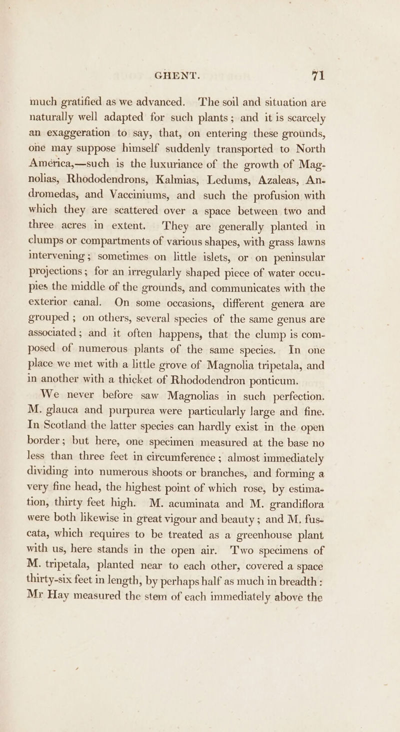 much gratified as we advanced. ‘The soil and situation are naturally well adapted for such plants; and it is scarcely an exaggeration to say, that, on entering these grounds, one may suppose himself suddenly transported to North America,—such is the luxuriance of the growth of Mag- nolias, Rhododendrons, Kalmias, Ledums, Azaleas, An- dromedas, and Vacciniums, and such the profusion with which they are scattered over a space between two and three acres in extent. They are generally planted in clumps or compartments of various shapes, with grass lawns intervening ; sometimes on little islets, or on peninsular projections; for an irregularly shaped piece of water occu- pies the middle of the grounds, and communicates with the exterior canal. On some occasions, different genera are grouped ; on others, several species of the same genus are associated ; and it often happens, that the clump is com- posed of numerous plants of the same species. In one place we met with a little grove of Magnolia tripetala, and in another with a thicket of Rhododendron ponticum. We never before saw Magnolias in such perfection. M. glauca and purpurea were particularly large and fine. In Scotland the latter species can hardly exist in the open border; but here, one specimen measured at the base no less than three feet in circumference ; almost immediately dividing into numerous shoots or branches, and forming a very fine head, the highest point of which rose, by estima- tion, thirty feet high. M. acuminata and M. grandiflora were both likewise in great vigour and beauty ; and M. fus- cata, which requires to be treated as a greenhouse plant with us, here stands in the open air. ‘Two specimens of M. tripetala, planted near to each other, covered a space thirty-six feet in length, by perhaps half as much in breadth : Mr Hay measured the stem of each immediately above the
