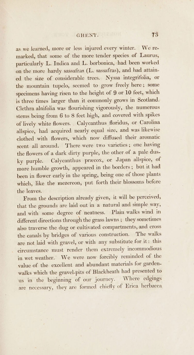 as we learned, more or less injured every winter. We re- marked, that some of the more tender species of Laurus, particularly L. Indica and L. borbonica, ‘had been worked on the more hardy sassafras (L. sassafras), and had. attain- ed the size of considerable trees. Nyssa integrifolia, or the mountain tupelo, seemed to grow freely here ; some specimens having risen to the height of 9 or 10 feet, which is three times larger than it commonly grows in Scotland. Clethra alnifolia was flourishing vigorously, the numerous stems being from 6 to 8 feet high, and covered with spikes of lively white flowers. _ Calycanthus floridus, or Carolina allspice, had acquired nearly equal size, and was likewise clothed with flowers, which now diffused their aromatic scent all around. ‘There were two varieties; one having the flowers of a dark dirty purple, the other of a pale dus- ky purple. Calycanthus precox, or Japan allspice, of more humble growth, appeared in the borders ; but it had been in flower early in the spring, being one of those plants which, like the mezereon, put forth their blossoms befcre the leaves. From the description already given, it will be perceived, that the grounds are laid out in a natural and simple way, and with some degree of neatness. Plain walks wind in different directions through the grass lawns ; they sometimes also traverse the dug or cultivated compartments, and cross the canals by bridges of various construction. The walks are not laid with gravel, or with any substitute for it: this circumstance must render them extremely incommodious ‘n wet weather. We were now forcibly reminded of the value of the excellent and abundant materials for garden- walks which the gravel-pits of Blackheath had presented to us in the beginning of our journey. Where edgings are necessary, they are formed chiefly of Erica herbacea
