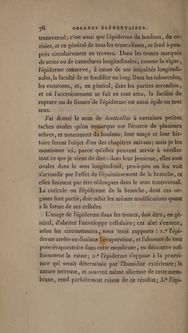 près circulairement en travers. Dans les troncs marqués nales, la faculté de se fendiller en long. Dans les tubercules, les exostoses, et, en général, dans les parties arrondies, rupture ou de fissure de l’épiderme est aussi égale en tout sens. | J'ai donné le nom de /enticelles à certaines petites. taches ovales qu'on remarque sur l'écorce de plusieurs arbres, et notamment du bouleau; leur usage et leur. his- toire feront l’objet d’un des chapitres suivans; mais je les tout ce que je viens de dire : dans leur jeunesse, elles sont ovales dans le sens longitudinal; peu-à-peu on les voit s’arrondir par l'effet de l'épaississement de la branche, et elles finissent par être oblongues dans le sens transversal. La cuticule ou l’épiderme de la branche, dont ces or- ganes font partie, doit subir les mêmes modifications quant à la forme de ses cellules. L'usage de lépiderme dans les troncs, doit être, en gé- néral, d'abriter l'enveloppe cellulaire; cet abri s'exerce, selon les circonstances, sous trois rapports : r.° lépi- derme arrête ou diminue lévaporation , et l'absence de tout fisamment la cause; 2.2 l’épiderme s'oppose à la pourris ture qui serait déterminée par l'humidité extérieure; la pature terreuse, et souvent même siliceuse de cette mem- brane, rend parfaitement raison de ce résultat; 3.0 l'épis