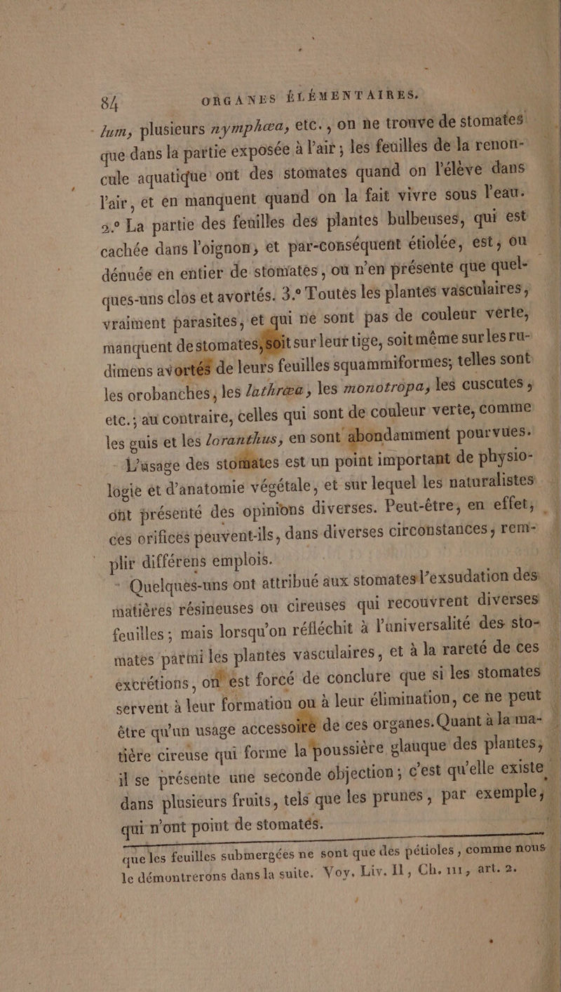 - Zum, plusieurs #ymphæa;, eic., On ne trouve de stomates que dans la partie exposée à l'air ; les feuilles de la renon- cule aquatique ont des stomates quand on l'élève dans l'air, et en manquent quand on la fait vivre sous l'eau. 5e La partie des fenilles des plantes bulbeuses, qui est cachée dans l'oignon, et par-conséquent étiolée, est; on dénuée en entier de stonrates , où n’en présente que quel- ques-uns clos et avortés. 3e Toutés les plantés vasculaires, vraiment parasites, et qui ne sont pas de couleur verte, manquent de stomates;SOIt sur leur tige, soitmême sur les ru- dimens avortés de leurs feuilles squammiformes; telles sont les arobanches ; les lathréæa, les monotropa; les cuscutes ; ete. ; au contraire, celles qui sont de couleur verte, comme les guis et les Zoranthus, en sont abondamment pourvus. Lusage des stümates est un point important de physio- logie ét d'anatomie végétale, et sur lequel les naturalistes dfit présenté des opinions diverses. Peut-être, en effet; ces orifices peuvent-ils, dans diverses circonstances ; rem- plir différens emplois. ù feuilles ; mais lorsqu'on réfléchit à l'universalité des sto= mates pari les plantes vasculaires, et à la rareté de ces être qu'un usage accesso de ces organes. Quant à lama- tière cireuse qui forme la poussière glauque des plantes, il se présente une seconde objection ; c’est qu'elle existe LAURE dans plusieurs fruits, tels que les prunes, par exemple; | que les feuilles submergées ne sont que cles pétioles , comme nous il Le démontrerons dans la suite. Voy, Liv. Il, Ch. ur, art. 2. (A U