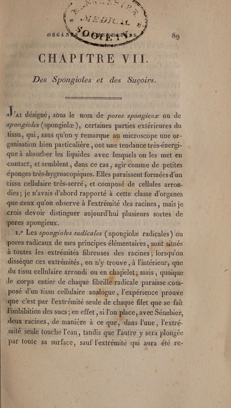 CHAPITRE VIL Des Spongioles et des Suçorrs. J A1 désigné; sous le nom de pores spongieux ou de sporgioles (spongiolæ ), certaines parties extérieures du tissu, qui, sans qu’on y remarque au microscope une or- gamisation bien particulière , ont une tendance très-énergi- que à absorber les liquides avec lesquels on les met en Contact, et semblent, dans ce cas , agir comme de petites éponges trés-hygroscopiques. Elles paraissent formées d’un tussu cellulaire très-serré , et composé de cellules arron- dies ; je n'avais d’abord rapporté à cette classe d'organes -querceux qu'on observe à l'extrémité des racines, mais je crois devoir distinguer aujourd'hui plusieurs sortes de pores spongieux. 1 2° Les spongioles radicales (spongiolæ radicales) ou _ pores radicaux de mes principes élémentaires , sont situés à toutes des extrémités fibreuses des racines ; lorsqu'on dissèque ces extrémités , on n’y trouve , à l'intérieur, que du tissu cellulaire arrondi ou en chapelet; mais , quoique de corps entier de chaque fibrillé radicale paraisse com- posé d’un tissu cellulaire analogue , l'expérience prouve ique c'est par l'extrémité seule de chaque filet que se fait Mimbibition des sucs ; en effet , si l’on place, avec Sénebier, deux racines, de manière à ce que, dans l’une, l’extré- auité, seule touche l’eau, tandis que autre y sera plongée par toute sa surface, sauf l'extrémité qui aura été re-