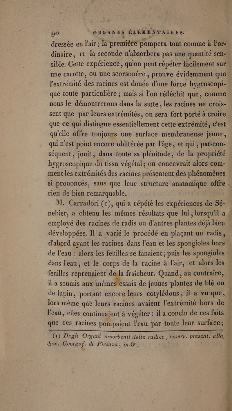 dressée en l'air ; la première pompera tout comme à l'or. dinaire, et la seconde n'absorbera pas une quantité sen-. sible. Cette expérience, qu'on peut répéter facilement sur une carotte, OU une scorsonère , prouve évidemment que . l'extrémité des racines est douée d’une force hygroscopi- que toute particulière ; mais si l’on réfléchit que, comme nous le démontrerons dans la suite, les racines ne crois- sent que par leurs extrémités, on sera fort porté à croire que ce qui distingue essentiellement cette extrémité, c’est qu'elle offre toujours une surface membraneuse jeune, qui n’est point encore oblitérée par l’âge, et qui, par:con- séquent, jouit, dans toute sa plénitude, de la propriété hygroscopique du tissu végétal; on concevrait alors com- ment les extrémités des racines présentent des phénomènes si prononcés, sans que leur structure anatomique offre + 1 rien de bien remarquable. M. Carradori (1), qui a répété les expériences de Sé- nebier, a obtenu les mêmes résultats que lui, lorsqu'il a 4 employé des racines de radis ou d’autres plantes déjà bien développées. Il a varié le procédé en plaçant un radis, d'abord ayant les racines dans l'eau et les spongioles hors. de l’eau : alors les feuilles se fanaient; puis les spongioles … dans l'eau, et le corps de la racine à l'air, et alors les feuilles reprenaient de.la fraicheur. Quand, au contraire, il a soumis aux mêmes essais de jeunes plantes de blé ou | de lupin, portant encore leurs cotylédons , il a vu que, | lors même que leurs racines avaient l'extrémité hors de Peau, elles continuaient à végéter : il a conclu de ces faits . me ces racines pompaient l'eau par toute leur surface; (1) Degli Organi assorbenti delle radice , osserv. present. ‘alla Sac. Geor 80f: di Firensa , és e