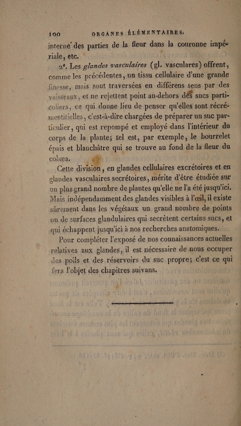 interne’ des parties de la fleur dans la couronne im pé riale, etc. ; . Les glandes vasculaires (gl. Vésenlacta) offrent , comme les précédentes, un tissu cellulaire d’une grande finesse, mais sont traversées en différens sens par des vaisseaux, et ne rejettent point au-dehors dés sucs partir uliers, ce qui donne lieu de penser qu elles sont récré- D LtE 1 ‘est-à-dire chargées de préparer un suc par- ticulier, qui est repompé et employé dans l'intérieur du corps de la plante; tel est, par exemple, le bourrelet épais et blanchâtre qui se trouve au fond de la fleur du cobæa. } + Cette division , en glandes cellulaires excrétoires eten glandes vasculaires secrétoires, mérite d’être étudiée sur an plus grand nombre de plantes qu'elle ne l'a été jusqu'ici. Mais indépendamment des glandes visibles à l'œil, il existe sûrement dans les végétaux un grand nombre de points ou de surfaces glandulaires qui secrétent certains sucs, et qui échappent jusqu'ici à nos recherches anatomiques. Pour compléter l'exposé de nos connaissances actuelles relatives aux glandes, il est nécessaire de nous occuper des poils et des réservoirs du suc propre; c'est ce qui fera l’objet des chapitres suivans. l d À f