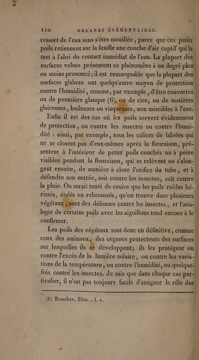 ressort de l’eau sans s'être mouillée, parce que ces petits | poils retiennent sur la feuille une Éonche d'air captif qui la met à l'abri du contact immédiat de l’eau. La plupart des surfaces velues présentent ce phénomène à un degré plus: 1 ou moins prononcé; il est remarquable que la plupart des. l surfaces glabres ont quelqu'autre moyen de protection contre l'humidité, comme, par exemple, d’être couvertes ou de poussière EU (6), de cire, ou de matières M glaireuses , huileuses ou visquéüses, non misaiblété à l’eau. f Enfin il est des cas où les Pile servent évidemment | de protection , ou contre les insectes ou contre l’humi-* dité : ainsi, par exemple, tous les calices de labiées qui l ne se closent pas d'eux-mêmes après la fleuraison, pré-\ { sentent à l’intérieur de petits poils couchés ou à peinew visibles pendant la fleuraison, qui se relèvent ou s’alon-\ gent ensuite, de manière à abs l'orifice du tube, età, défendte son entrée, soit contre les insectes, soit contre : la pluie. On serait tenté de croire que les poils roides hé- 1 ÿ ( 4 ont des Roc contre les insectes, et l’ana- d op  confirmer. Les poils des végétaux sont donc en définitive, commen ceux des animaux, des organes protecteurs des butflces he sur lesquelles ils se développent; ils les protègent ou contre l'excès de la lumière solaire, ou contre les varia-l ‘ tions de la température, ou contre hoiidités ou quelque: TS — (6) Boucher, Diss., L c ‘] a Ce VA [K 74