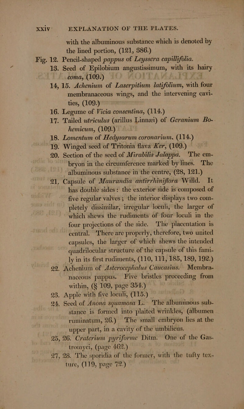 with the albuminous substance which is denoted by the lined portion, (121, 386.) Fig. 12. Pencil-shaped pappus of Leyssera capillifolia. 13. Seed of Epilobium gi ens ay: ie its Berne coma, (109.) 14, 15. Achenium of Laserpitium lati ifolium, with four membranaceous wings, and the intervening cavi- ties, (109.) 16. Legume of Vicia consentina, (114.) 17. Tailed utriculus (arillus Linnei) of Geranium Bo- hemicum, (109.) 18. Lomentum of Hedysarum coronarium, (114.) 19. Winged seed of Tritonia flava Ker, (109.) 20. Section of the seed of Mirabilis Jalappa. 'The em- bryon in the circumference marked by lines. The albuminous substance in the centre, (28, 121.) 21, Capsule of Maurandia antirrhiniflora Willd. It has double sides: the exterior side is composed of five regular valves; the interior displays two com- pletely dissimilar, irregular loculi, the larger of which shews the rudiments of four loculi in the four projections of the side. 'The placentation is central. 'There are properly, therefore, two united capsules, the larger of which shews the intended quadrilocular structure of the capsule of this fami- ly in its first rudiments, (110, 111, 185, 189, 192.) 92. Achenium of Asterocephalus Caucasius. Membra- naceous pappus. Five bristles proceeding from within, (§ 109, page 354.) | 7 93. Apple with five loculi, (115.) _ 94. Seed of Anona squamosa L. ‘The albuminous sub- stance is formed into plaited wrinkles, (albumen ruminatum, 26.) The small embryon hes at the upper part, in a cavity of the umbilicus. 25, 26. Craterium pyriforme Ditm. One of the Gas- tromyci, (page 462.) 27, 28. The sporidia of the former, with the tufty tex- ture, (119, page 72.)