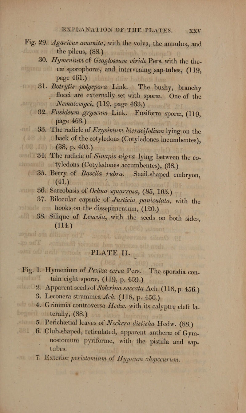 “ 38. mm 9 oO EXPLANATION OF THE PLATES. XXV Agaricus amanita, with the volva, the annulus, and the pileus, (88.) Hymenium of Geoglossum viride Pers. with the the- cee sporophor&amp;, and intervening sap-tubes, (119, page 461.) Botrytis polyspora Link. The bushy, branchy Nematomyci, (119, page 463.) Fusideum grysewm Link. Fusiform spore, (119, page 463.) The radicle of Erysimum hicracifolium lying on the back of the cotyledons (Cotyledones incumbentes), (38, p. 405.) tyledons (Cotyledones accumbentes), (38.) Berry of Basella rubra. Snail-shaped embryon, (41.) ; | ve Sarcobasis of Ochna squarrosa, (85, 105.) Bilocular capsule of Justicia paniculata, with the hooks on the dissepimentum, (120.) Silique of Leucoia, with the seeds on both sides, (114.) PLATE II. tain eight spore, (119, p- 459.) terally, (88.) nostomum pyriforme, with‘ the pistilla and sap. tubes. 8