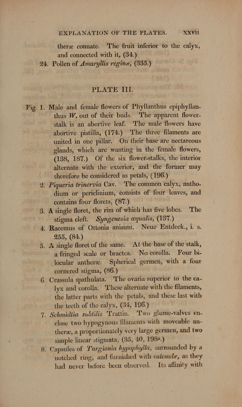 there connate. The fruit inferior to the calyx, and connected with it, (34.) PLATE III. Male and female flowers of Phyllanthus epiphyllan- thus W. out of their buds. The apparent flower- stalk is an abortive leaf. The male flowers have abortive pistilla, (174.) The three filaments are united in one pillar. On their base are nectareous glands, which are wanting in the female flowers, (138, 187.) Of the six flower-stalks, the interior alternate with the exterior, and the former may therefore be considered as petals, (196.) dium or periclinium, consists of four leaves, and contains four florets, (87.) stigma cleft. Syngenesia equalis, (137.) 255, (84.) a fringed scale or bractea. No corolla. Four bı- locular anther. Spherical germen, with a four cornered stigma, (86.) _lyx and corolla, ‘These alternate with the filaments, the latter parts with the petals, and these last with the teeth of the calyx, (84, 196.) close two hypogynous filaments with moveable an- therae, a proportionately very large germen, and two simple linear stigmata, (35, 40, 1982.) notched ring, and furnished with catenula, as they had never before been observed. Its aflinity with