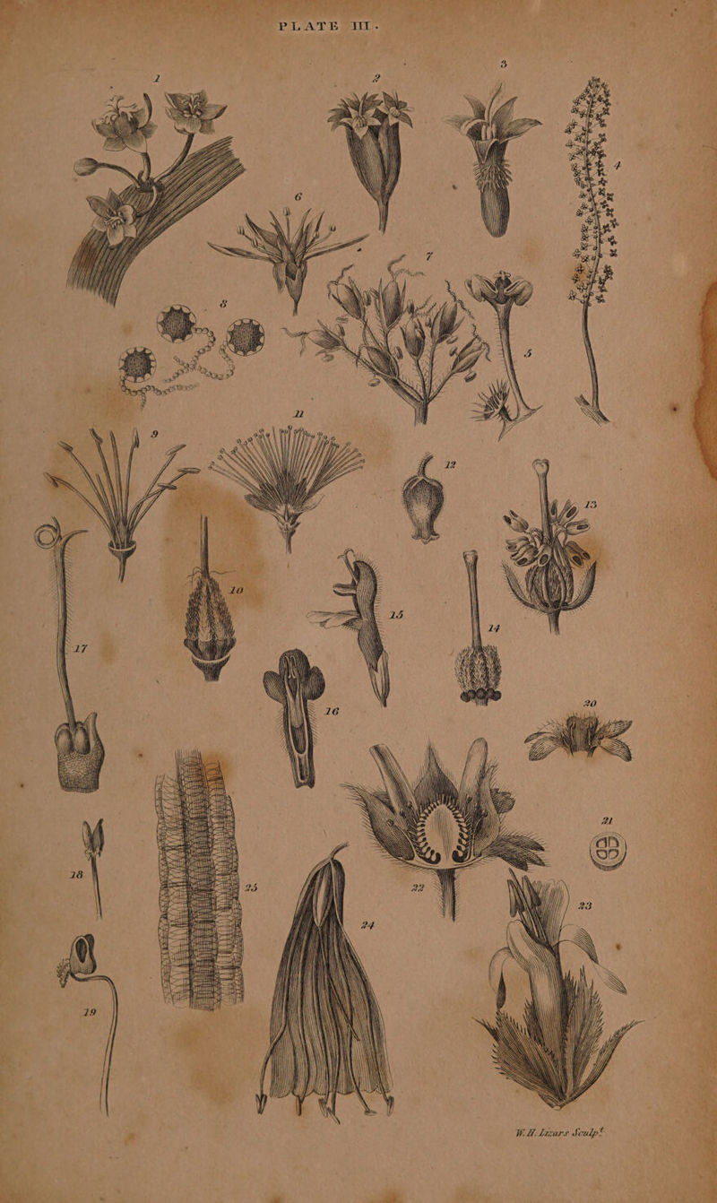 va eek ah 28 i &amp; TE pee Fä BEP TLATESTT: i) 0 o MY | | : VoS \ N jp G a \ N N! G RN N III s&gt; QW bs AN N