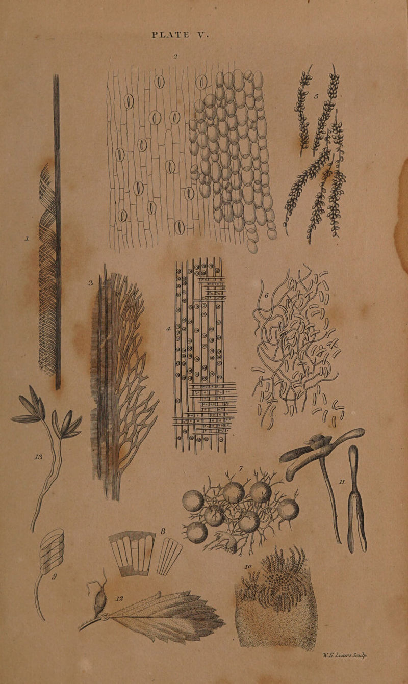 / =—— Bet. __—= Bp — IE == —S FA — = = 20 u — ©) © ©0500 oo o0 WO &gt; ©0808 DS So 6 © 500 © CUS trae Tr Teeite = I ete 1 Ive Te Ife” 1 ele eel = © st Tele