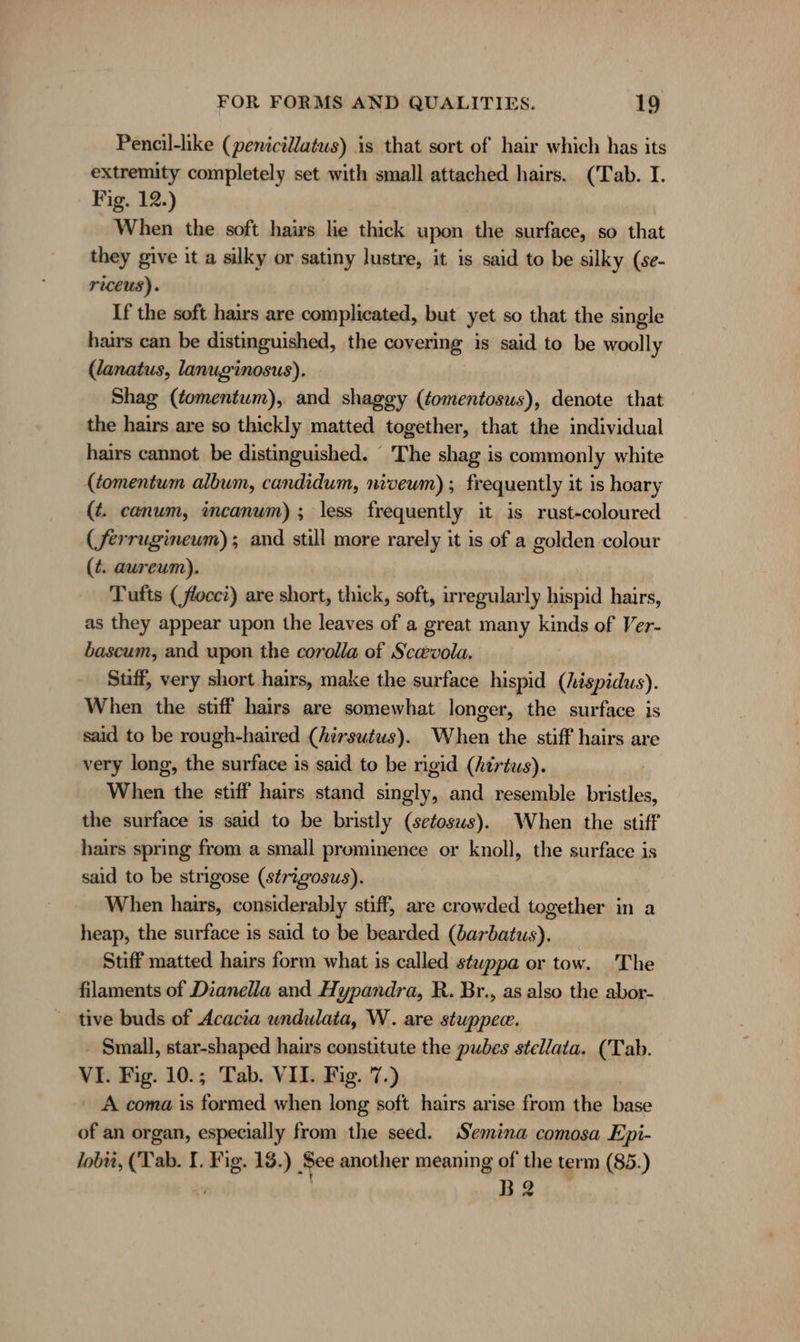 Pencil-like (penicillatus) is that sort of hair which has its extremity completely set with small attached hairs. (Tab. I. Fig. 12.) When the soft hairs lie thick upon the surface, so that they give it a silky or satiny lustre, it is said to be silky (se- riceus). If the soft hairs are complicated, but yet so that the single hairs can be distinguished, the covering is said to be woolly (lanatus, lanuginosus). Shag (tomentum), and shaggy (tomentosus), denote that the hairs are so thickly matted together, that the individual hairs cannot be distinguished. The shag is commonly white (tomentum album, candidum, niveum) ; frequently it is hoary (t. canum, incanum) ; less frequently it is rust-coloured (ferrugineum) ; and still more rarely it is of a golden colour (¢. aureum). Tufts (flocci) are short, thick, soft, irregularly hispid hairs, as they appear upon the leaves of a great many kinds of Ver- bascum, and upon the corolla of Scavola. Suff, very short hairs, make the surface hispid (hispidus). When the stiff hairs are somewhat longer, the surface is said to be rough-haired (hirsutus). When the stiff hairs are very long, the surface is said to be rigid (hirtus). When the stiff hairs stand singly, and resemble bristles, the surface is said to be bristly (setosws). When the stiff hairs spring from a small prominence or knoll, the surface is said to be strigose (strigosus). When hairs, considerably stiff, are crowded together in a heap, the surface is said to be bearded (barbatus). Stiff matted hairs form what is called stuppa or tow. The filaments of Dianella and Hypandra, R. Br., as also the abor- tive buds of Acacia undulata, W. are stuppew. - Small, star-shaped hairs constitute the pubes stellata. (Tab. VI. Fig. 10.; Tab. VII. Fig. 7.) ' A coma is formed when long soft hairs arise from the base of an organ, especially from the seed. Semina comosa Epi- lobii, (Tab. I. Fig. 13.) See another meaning of the term (85.) , | B2