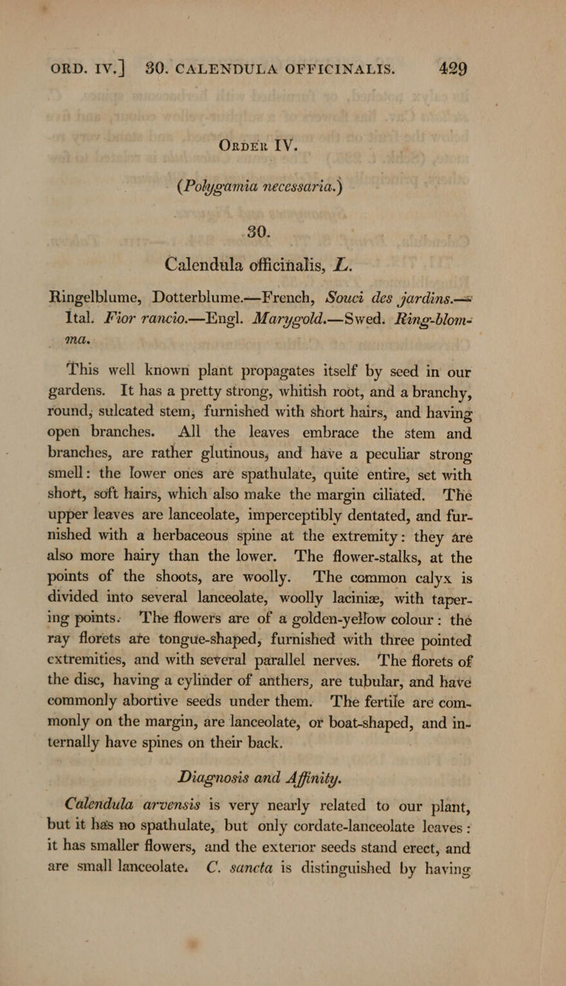 Orver IV. (Polygamia necessaria.) .30. Calendula officinalis, Z. Ringelblume, Dotterblume.—French, Souci des jardins.— Ital. Fior rancio.—Engl. Marygold.—Swed. Ring-blom- ma. This well known plant propagates itself by seed in our gardens. It has a pretty strong, whitish root, and a branchy, round; sulcated stem, furnished with short hairs, and having open branches. All the leaves embrace the stem and branches, are rather glutinous, and have a peculiar strong, smell: the lower ones aré spathulate, quite entire, set with short, soft hairs, which also make the margin ciliated. The upper leaves are lanceolate, imperceptibly dentated, and fur- nished with a herbaceous spine at the extremity: they are also more hairy than the lower. The flower-stalks, at the points of the shoots, are woolly. The common calyx is divided into several lanceolate, woolly lacinix, with taper- ing points; The flowers are of a golden-yellow colour : the ray florets ate tongue-shaped, furnished with three pointed extremities, and with several parallel nerves. ‘The florets of the disc, having a cylinder of anthers, are tubular, and have commonly abortive seeds under them. The fertile are com- monly on the margin, are lanceolate, or boat-shaped, and in- ternally have spines on their back. Diagnosis and Affinity. Calendula arvensis is very nearly related to our plant, but it has no spathulate, but only cordate-lanceolate leaves : it has smaller flowers, and the exterior seeds stand erect, and are small lanceolate. C. sancta is distinguished by having
