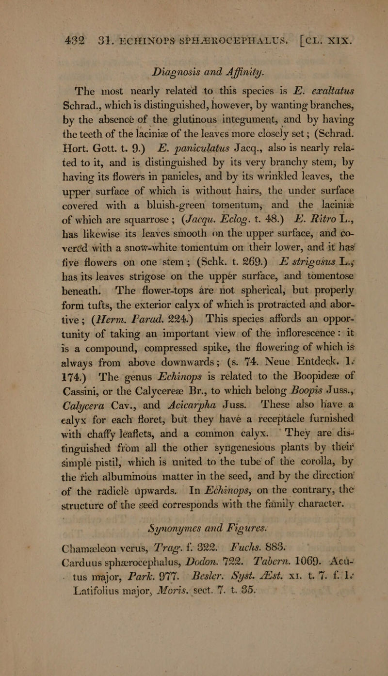 Diagnosis and A { finity. The most nearly related to this species is E. exaltatus Schrad., which is distinguished, however, by wanting branches, by the absence of the glutinous integument, and by having ihe teeth of the laciniee of the leaves more closely set; (Schrad. Hort. Gott. t. 9.) E. paniculatus Jacq., also is nearly rela- ted to it, and is distinguished by its very branchy stem, by having its flowers in panicles, and by its wrinkled leaves, the upper surface of which is without hairs, the under surface covered with a bluish- -green tomentum, and the laciniz of which are squarrose ; (Jacqu. Eclog. t. 48.) E. Ritro L., has likewise its leaves smooth on the upper surface, and co- veréd with a snow-white tomentum om their lower, and it has five flowers on one stem; (Schk. t. 269.) E strigosus Lis has its leaves strigose on the upper surface, and tomentose beneath. ‘The flower-tops are not spherical; but properly form tufts, the exterior calyx of which is protracted and abor- tive; (Herm. Parad. 224.) 'This species affords an oppor- tunity of taking an important view of the inflorescence : it is a compound, compressed spike, the flowering of which is always from above downwards; (s. 74. Neue Entdeck. 1; 174) The genus Echinops is related to the Boopidex of Cassini, or the Calycereee Br., to which belong Boopis Juss., Calycera Cav., and Acicarpha Juss. ‘These also Have a ealyx for each floret; but they have a receptacle furnished with chaffy leaftets, and a common calyx. ‘They are dis- tinguished from all the other syrigenesious plants by then’ simple pistil, which is united to the tube of the corolla, by the #ich albummous matter in the seed, and by the direction’ of the radicle upwards. In Echinops, on the contrary, the structure of the seed corresponds with the family character. Synonymes and Figures. Chameleon verus, T'rag. f. 322. Fuchs. 885. Carduus spharocephalus, Dodon. 722. Tabern. 1069. Acu- - tus major, Park. 977. Besler. Syst. Zst. x1. t. T. fle Latifolius major, Moris. sect. 7. t. 35.