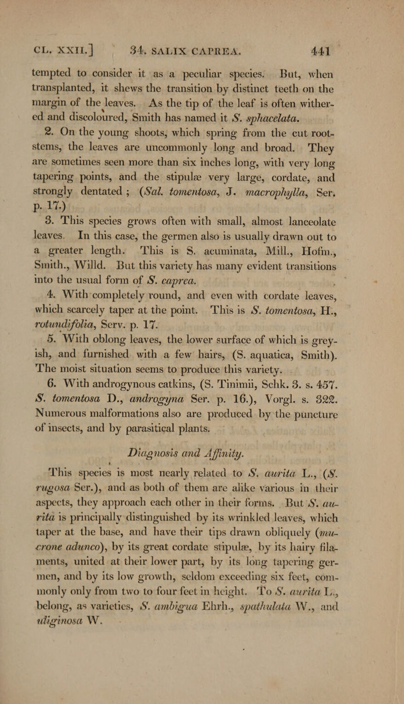 tempted to consider it as a peculiar species. But, when transplanted, it shews the transition by distinet teeth on the margin of the „leaves. As the tip of the leaf is often wither- ed and discoloured, Smith has named it S. sphacelata. 2. On the young shoots, which spring from the cut root- stems, the leaves are uncommonly long and broad. They are sometimes seen more than six inches long, with very long tapermg points, and the stipule very large, cordate, and strongly dentated ; (Sal. tomentosa, J. macrophylla, Ser. p. 17.) 3. This species grows often with small, almost lanceolate leaves. In this case, the germen also is usually drawn out to a greater length. This is S. acuminata, Mill., Hofm., Smith., Willd. But this variety has many evident transitions into the usual form of S. caprea. 4. With: completely round, and even with cordate less, which scarcely taper at the point. This is §. tomentosa, H., rotundifolia, Serv. p. 17. 5. With oblong leaves, the lower surface of which is grey- ish, and furnished. with a few hairs, (S. aquatica, Smith). The moist situation seems to produce this variety. | 6. With androgynous catkins, (S. Tinimiü, Schk. 3. s. 457. S. tomentosa D., androgyna Ser. p. 16.), Vorgl. s. 322. Numerous malformations also are produced. by the puncture of insects, and by parasitical plants. Diagnosis and A finity. This species is most nearly related to S. aurita L., (8. rugosa Ser.), and as both of them are alike various in their aspects, they approach each other in their forms. But \S. au- rita is principally distinguished by its wrinkled leaves, which taper at the base, and have their tips drawn obliquely (mu- crone adunco), by its great cordate stipule, by its hairy fila- ments, united at their lower part, by its long tapering ger- men, and by its low growth, seldom exceeding six feet, com- monly only from two to four feet in height. To $. aurita L., belong, as varieties, ‚S. ambigua Ehrh., spathulata W., and wliginosa W.