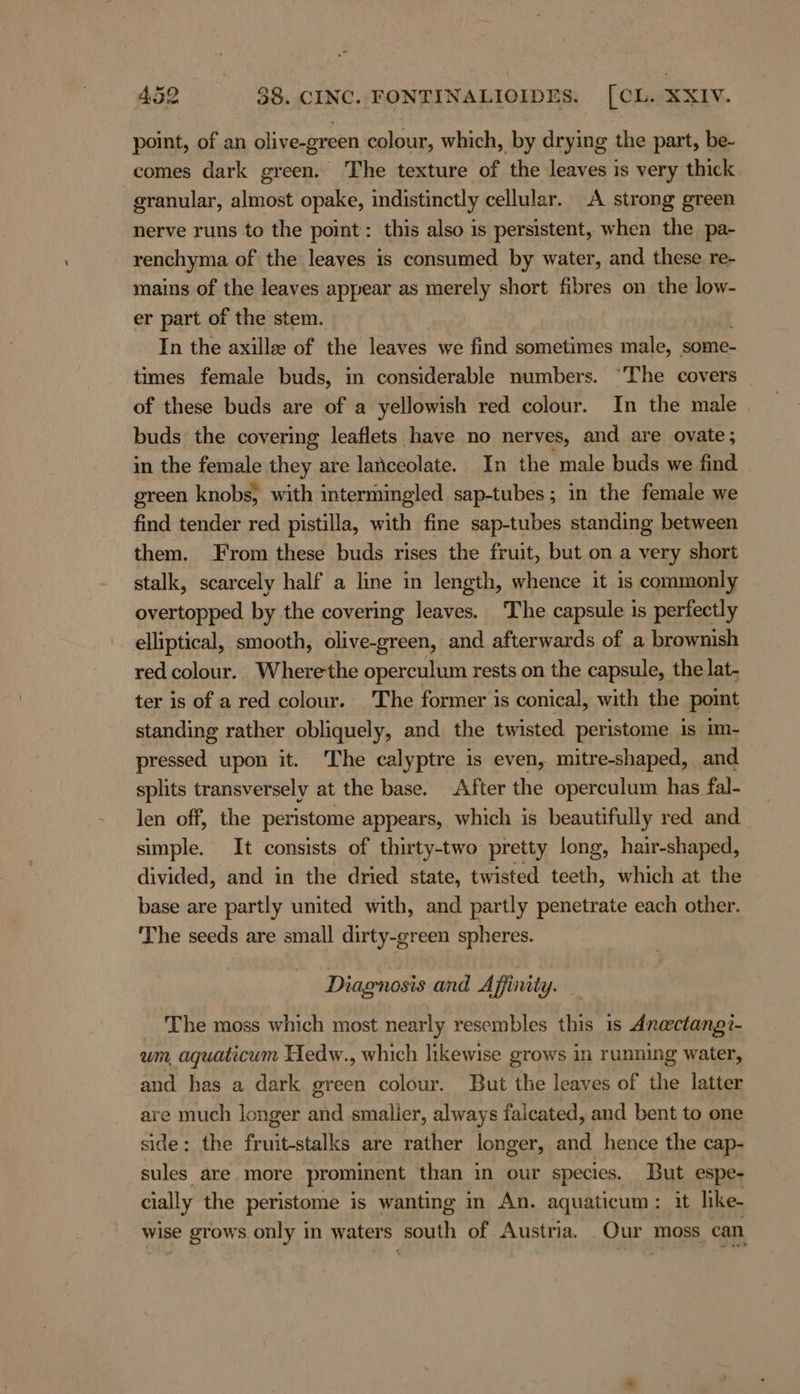 point, of an olive-green colour, which, by drying the part, be- comes dark green. The texture of the leaves is very thick granular, almost opake, indistinctly cellular. A strong green nerve runs to the point: this also is persistent, when the pa- renchyma of the leaves is consumed by water, and these re- mains of the leaves appear as merely short fibres on the low- er part of the stem. In the axille of the leaves we find sometimes male, some- times female buds, in considerable numbers. ‘The covers of these buds are of a yellowish red colour. In the male buds the covering leaflets have no nerves, and are ovate; in the female they are lanceolate. In the male buds we find green knobs, with intermingled sap-tubes; in the female we find tender red pistilla, with fine sap-tubes standing between them. From these buds rises the fruit, but on a very short stalk, scarcely half a line in length, whence it is commonly overtopped by the covering leaves. The capsule is perfectly elliptical, smooth, olive-green, and afterwards of a brownish red colour. Wherethe operculum rests on the capsule, the lat- ter is of a red colour. The former is conical, with the point standing rather obliquely, and the twisted peristome is im- pressed upon it. The calyptre is even, mitre-shaped, and splits transversely at the base. After the operculum has fal- len off, the peristome appears, which is beautifully red and simple. It consists of thirty-two pretty long, hair-shaped, divided, and in the dried state, twisted teeth, which at the base are partly united with, and partly penetrate each other. The seeds are small dirty-green spheres. Diagnosis and Affinity. The moss which most nearly resembles this 1s Anactang?- um, aquaticum Hedw., which likewise grows in running water, and has a dark green colour. But the leaves of the latter are much longer and smaller, always falcated, and bent to one side: the fruit-stalks are rather longer, and hence the cap- sules are more prominent than in our species. But espe- cially the peristome is wanting in An. aquaticum: it like- wise grows only in waters south of Austria. Our moss can