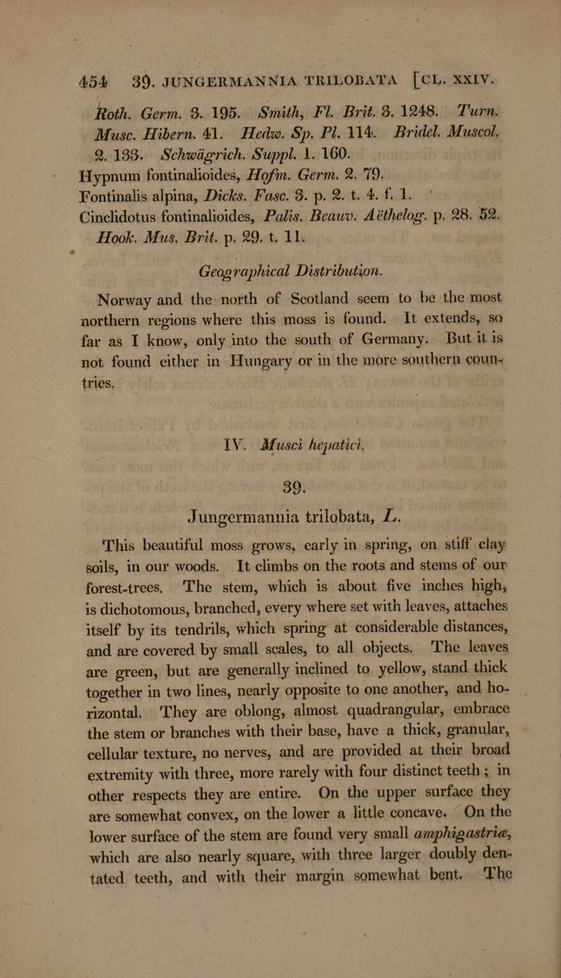 Roth. Germ. 3. 195. Smith, Fl. Brit. 3.1248. Turn. Musc. Hibern. 41. Hedw. Sp. Pl. 114. Bridel. Muscol, 2.133. Schwägrich. Suppl. 1. 160. Hypnum fontinalioides, Hofm. Germ, 2. 79. Fontinalis alpina, Dicks. Fasc. 3. p. 2. t. 4. f.1. Cinclidotus fontinalioides, Palis. Beawv. Aöthelog. p. 28. 52. Hook. Mus. Brit. p. 29. t. 11. Geographical Distribution. Norway and the north of Scotland seem to be the most northern regions where this moss is found. It extends, so far as I know, only into the south of Germany. But it ıs not found either in Hungary or in the more southern coun~ tries. IV. Museci hepatici. 39. Jungermannia trilobata, L. This beautiful moss grows, early in spring, on stiff clay soils, in our woods. It climbs on the roots and stems of our forest-trees. The stem, which is about five inches high, is dichotomous, branched, every where set with leaves, attaches itself by its tendrils, which spring at considerable distances, and are covered by small scales, to all objects, The leaves are green, but are generally inclined to yellow, stand thick together in two lines, nearly opposite to one another, and ho- rizontal. 'They are oblong, almost quadrangular, embrace the stem or branches with their base, have a thick, granular, cellular texture, no nerves, and are provided at their broad extremity with three, more rarely with four distinct teeth ; in other respects they are entire. On the upper surface they are somewhat convex, on the lower a little concave. On the lower surface of the stem are found very small amphigastrie, which are also nearly square, with three larger doubly den- tated teeth, and with their margin somewhat bent, The
